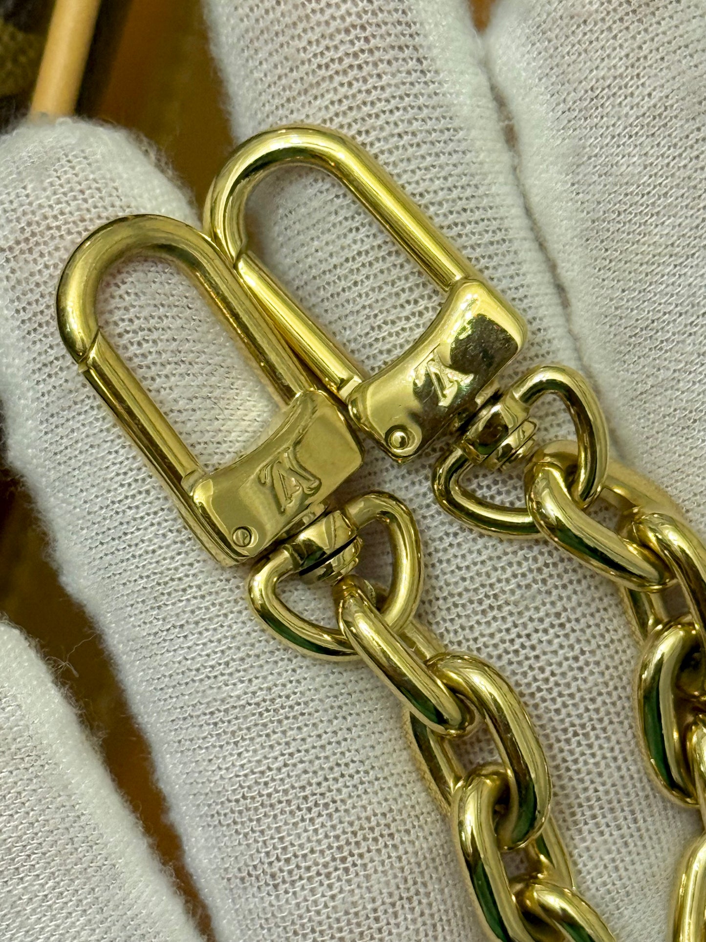 Louis Vuitton Loop PM Mono