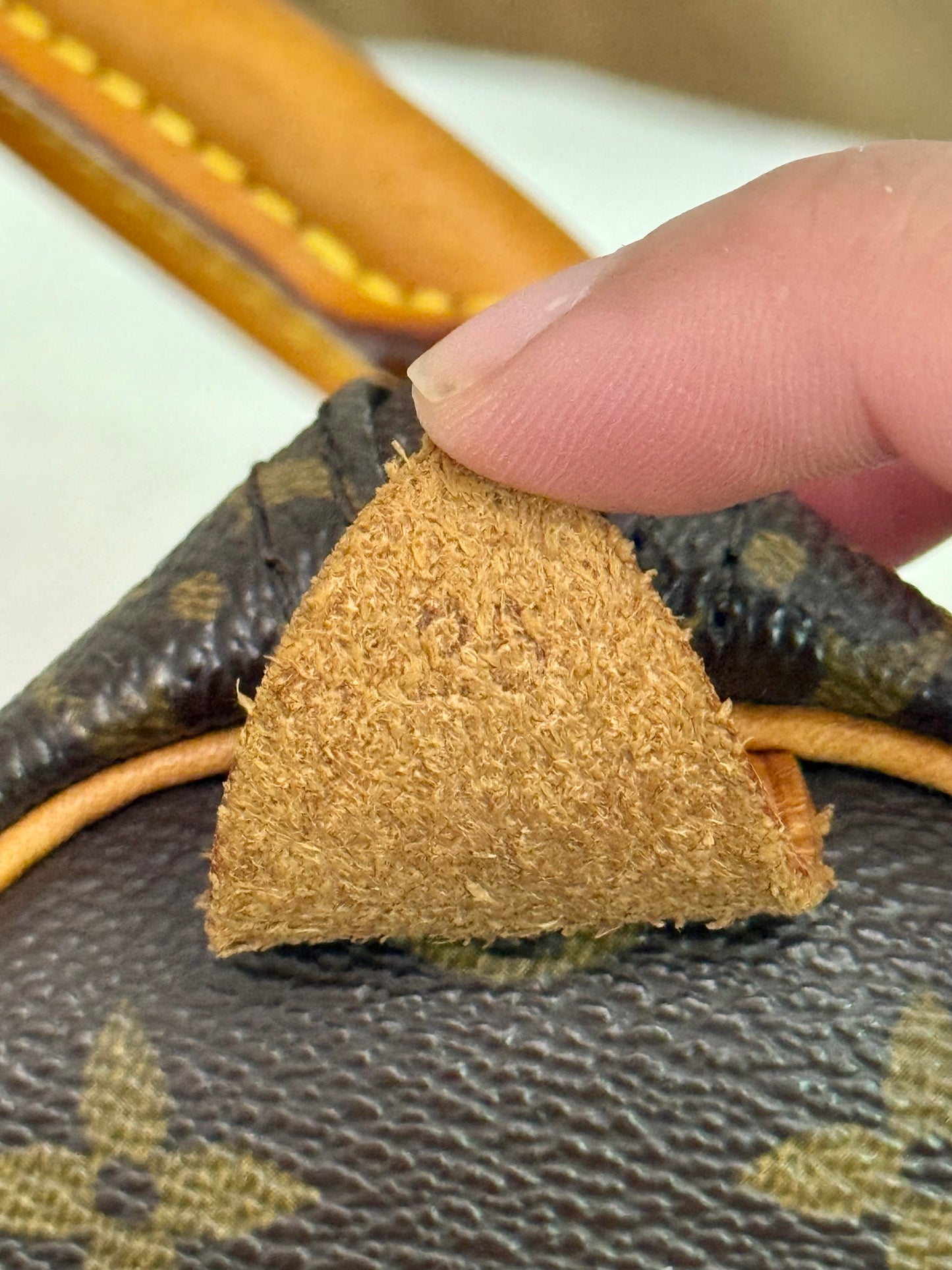 Louis Vuitton Speedy 25 Mono