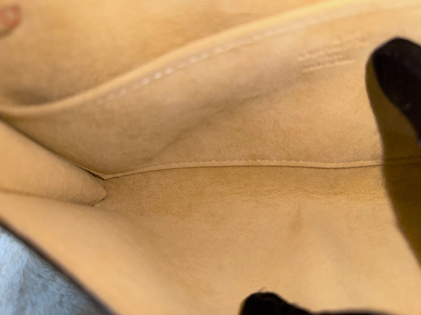 Louis Vuitton Twin Pochette GM Mono