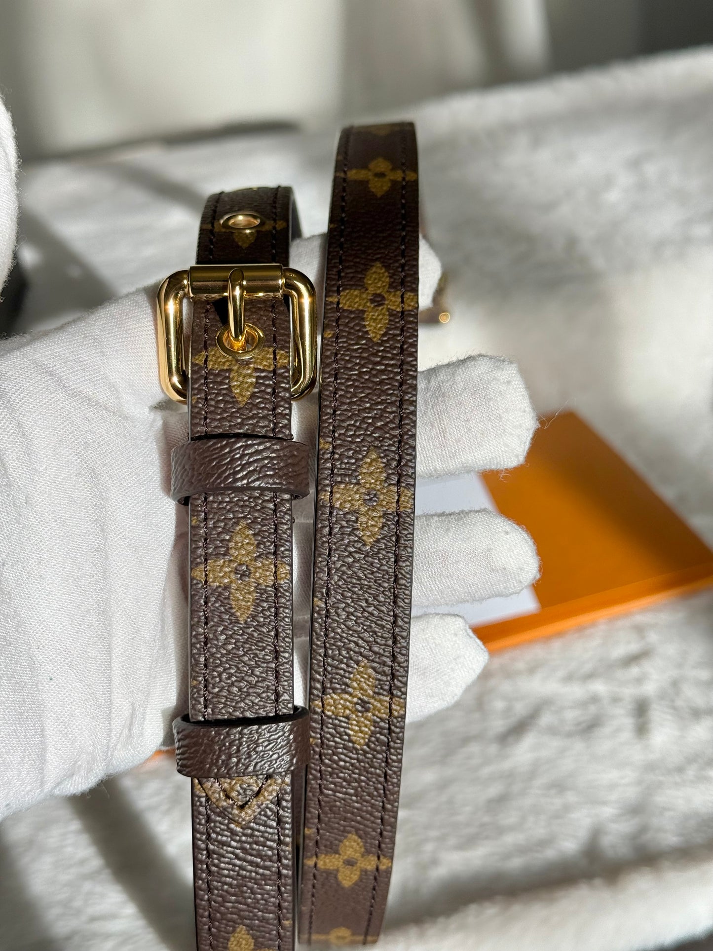 Louis Vuitton Pochette Metis Mono