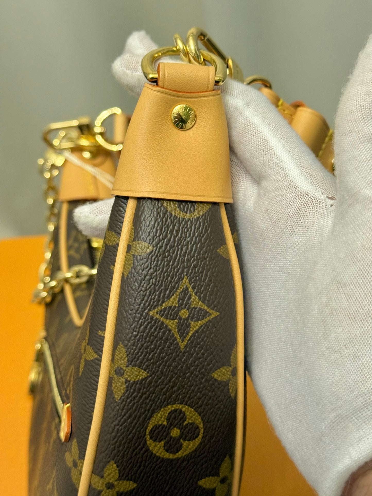 Louis Vuitton Loop PM Mono