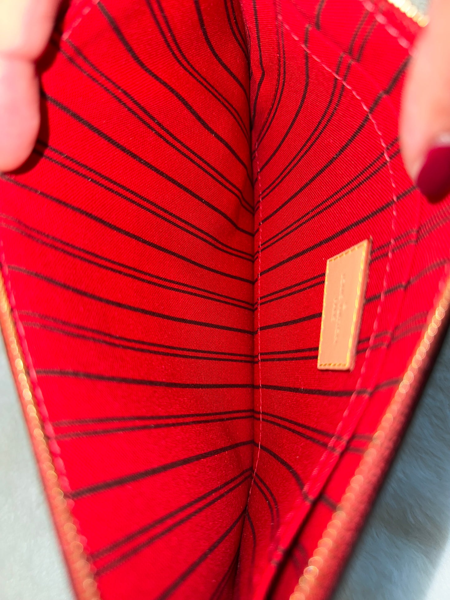 Louis Vuitton Neverfull MM Mono Cherry Bag and Pouch