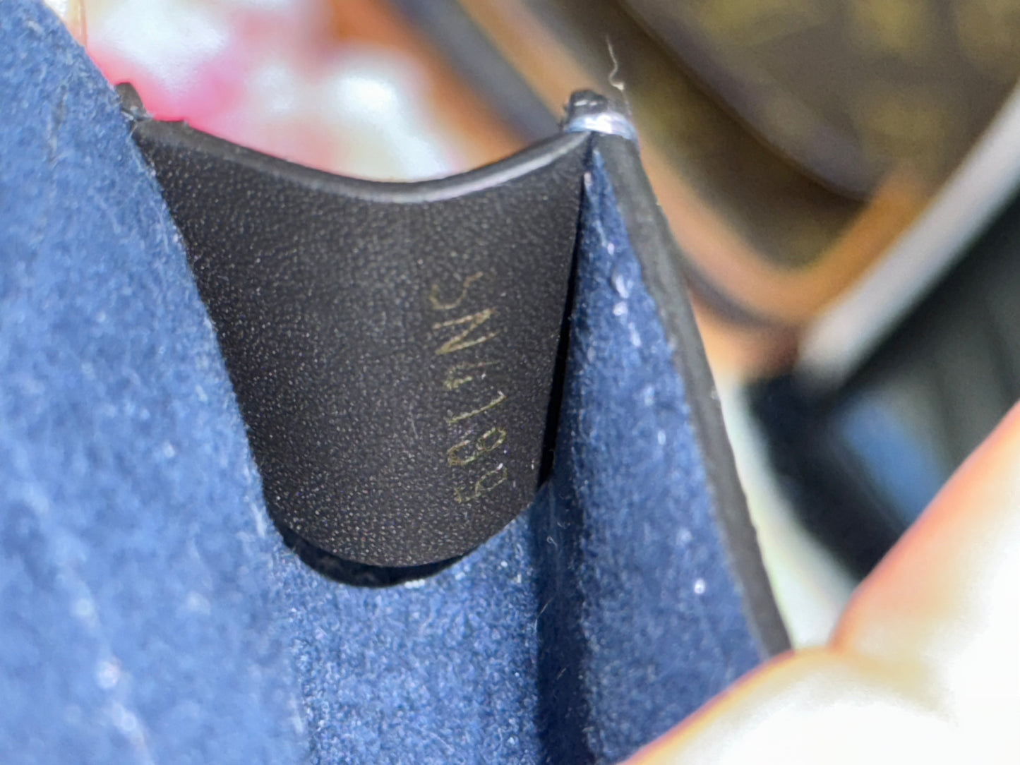 Louis Vuitton Monogram Cat Airpod Earphones Case Black