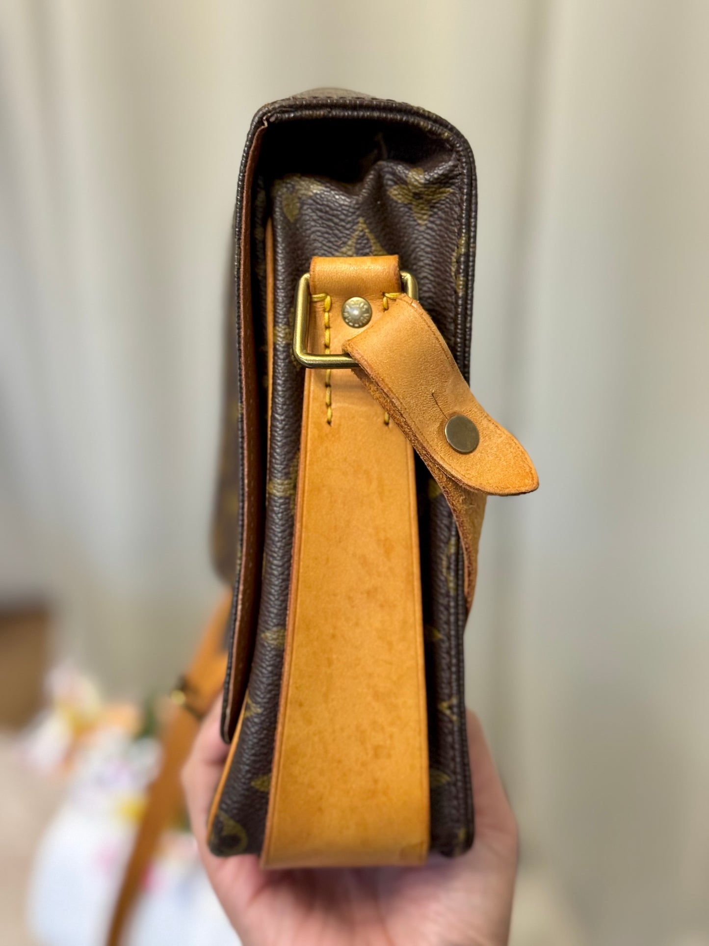 Louis Vuitton Cartouchiere GM Mono