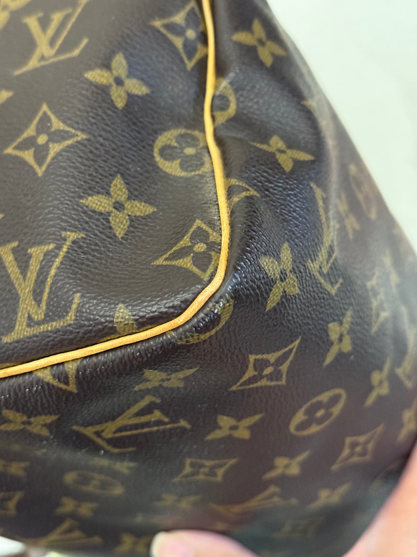 Louis Vuitton Speedy 30 Mono