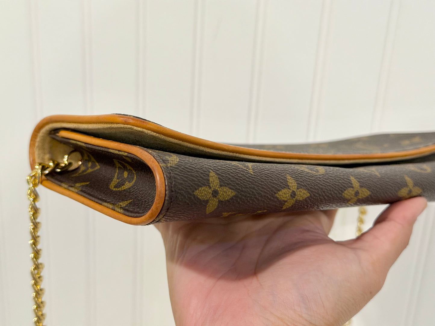 Louis Vuitton Twin Pochette GM Mono