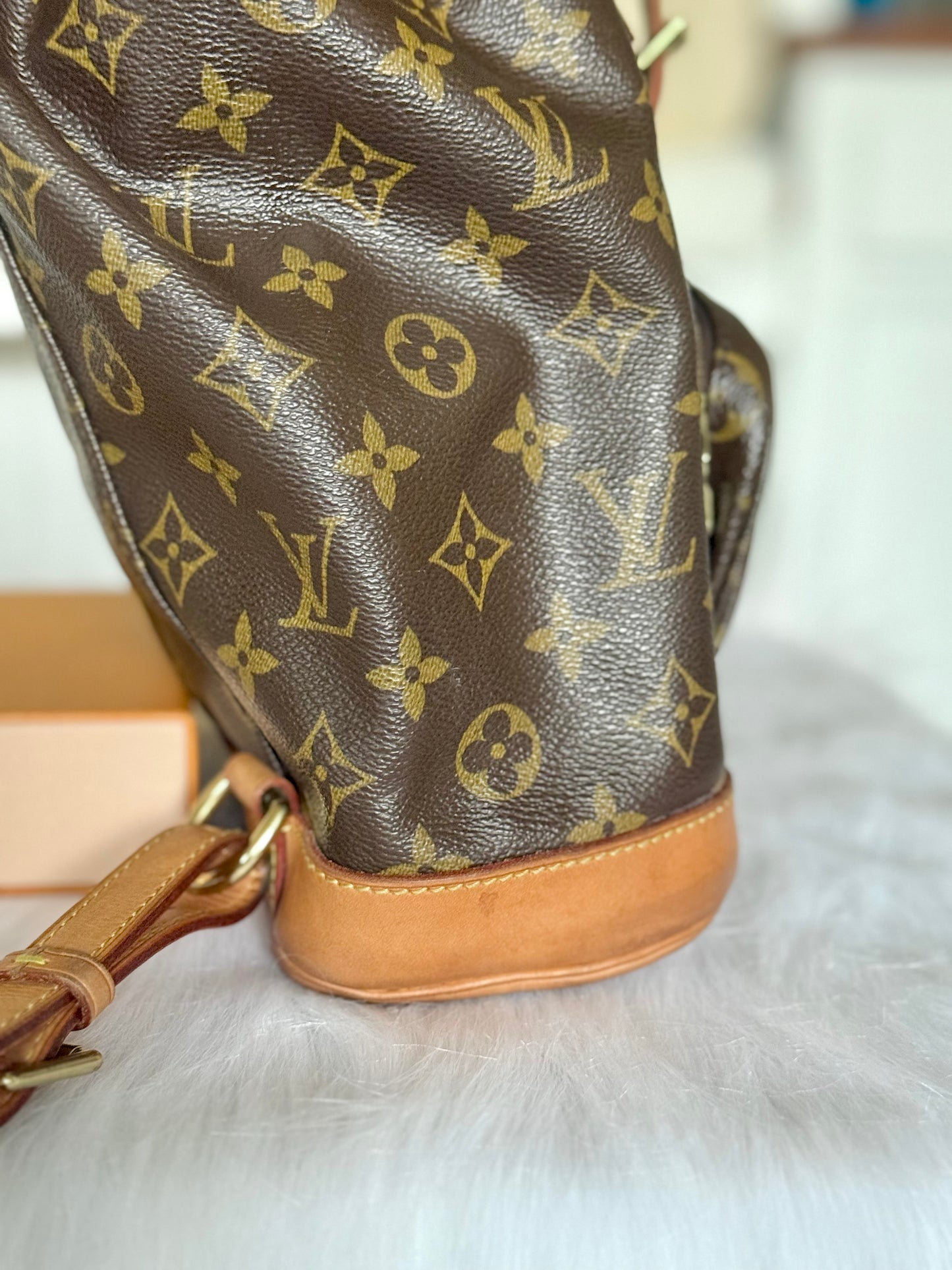 Louis Vuitton Montsouris PM Mono Old Model