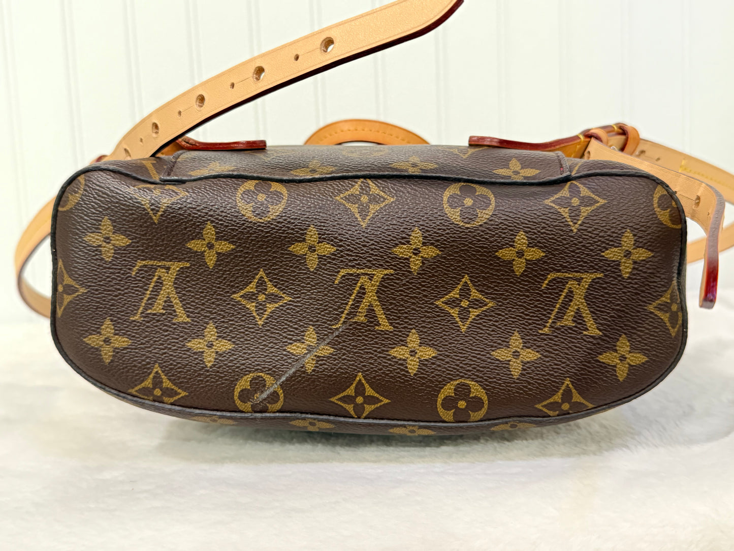 Louis Vuitton Montsouris NM Mono Backpack