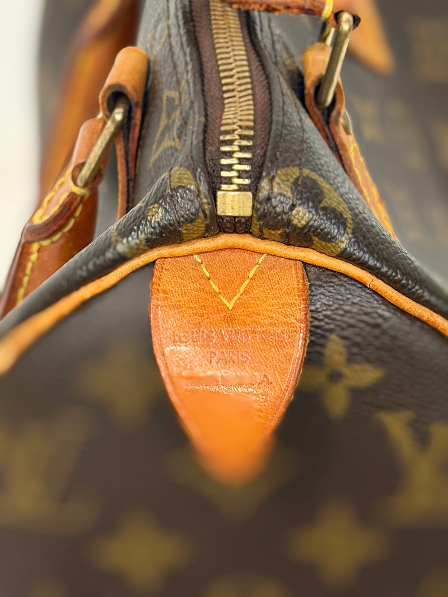 Louis Vuitton Speedy 25 Mono