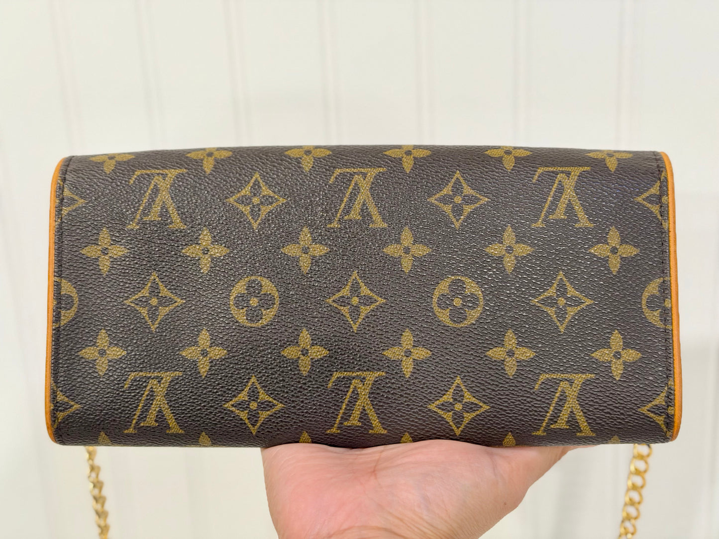 Louis Vuitton Twin Pochette GM Mono