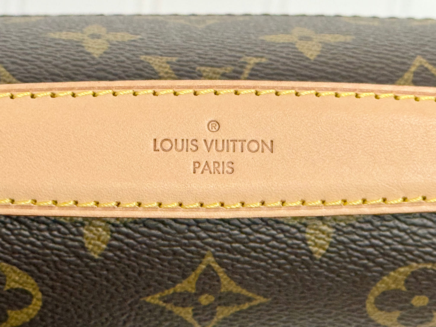 Louis Vuitton Pochette Metis Mono