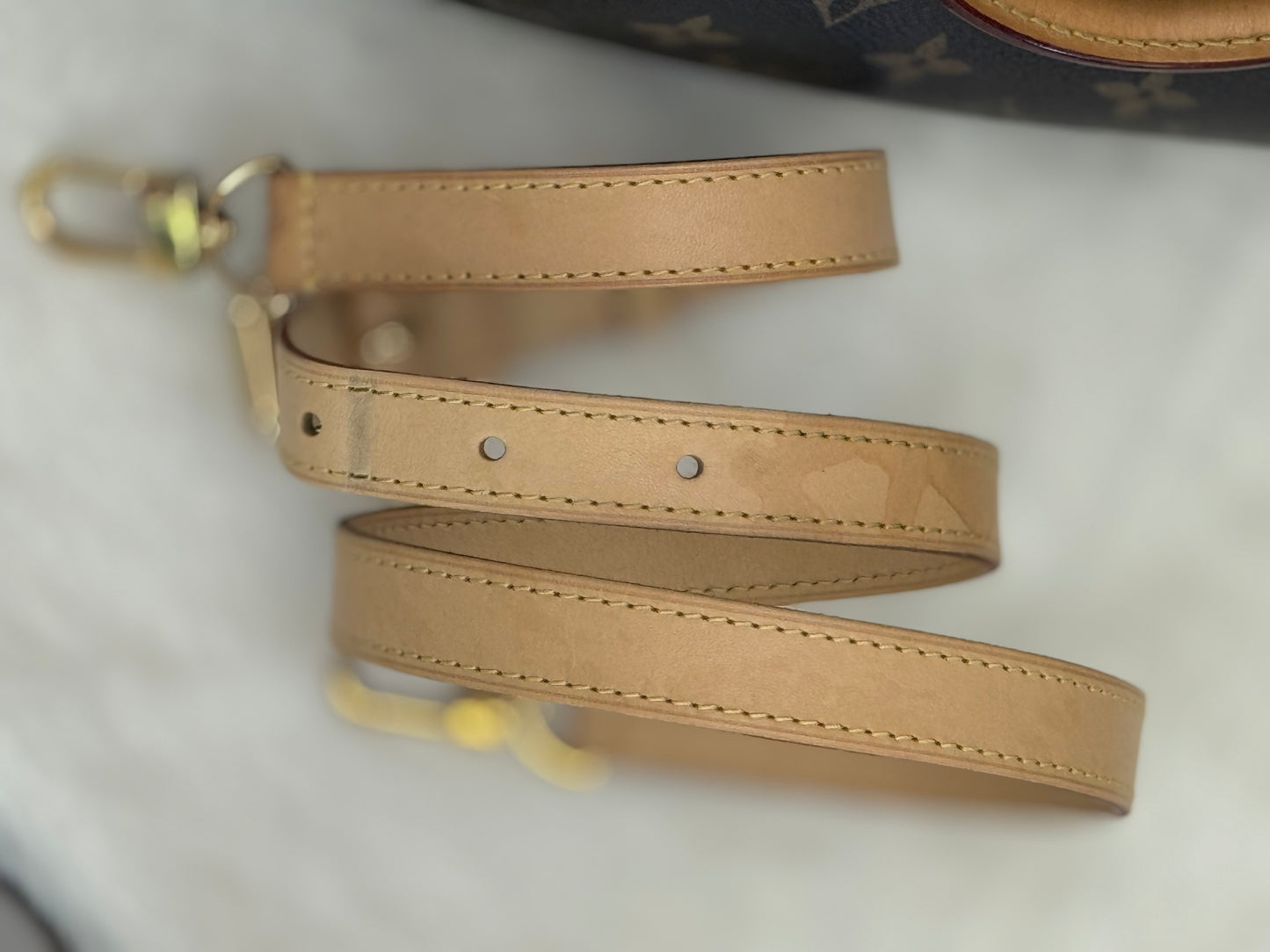 Louis Vuitton Turenne MM Mono