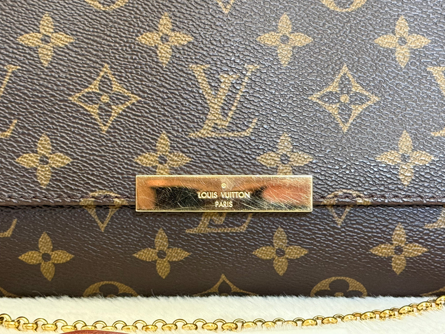 Louis Vuitton Favorite MM Mono DU2166