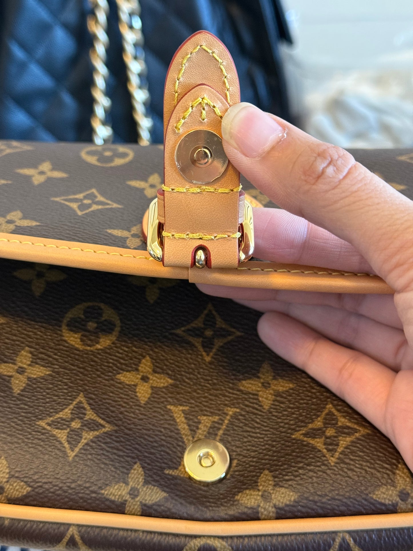 Louis Vuitton Diane Mono