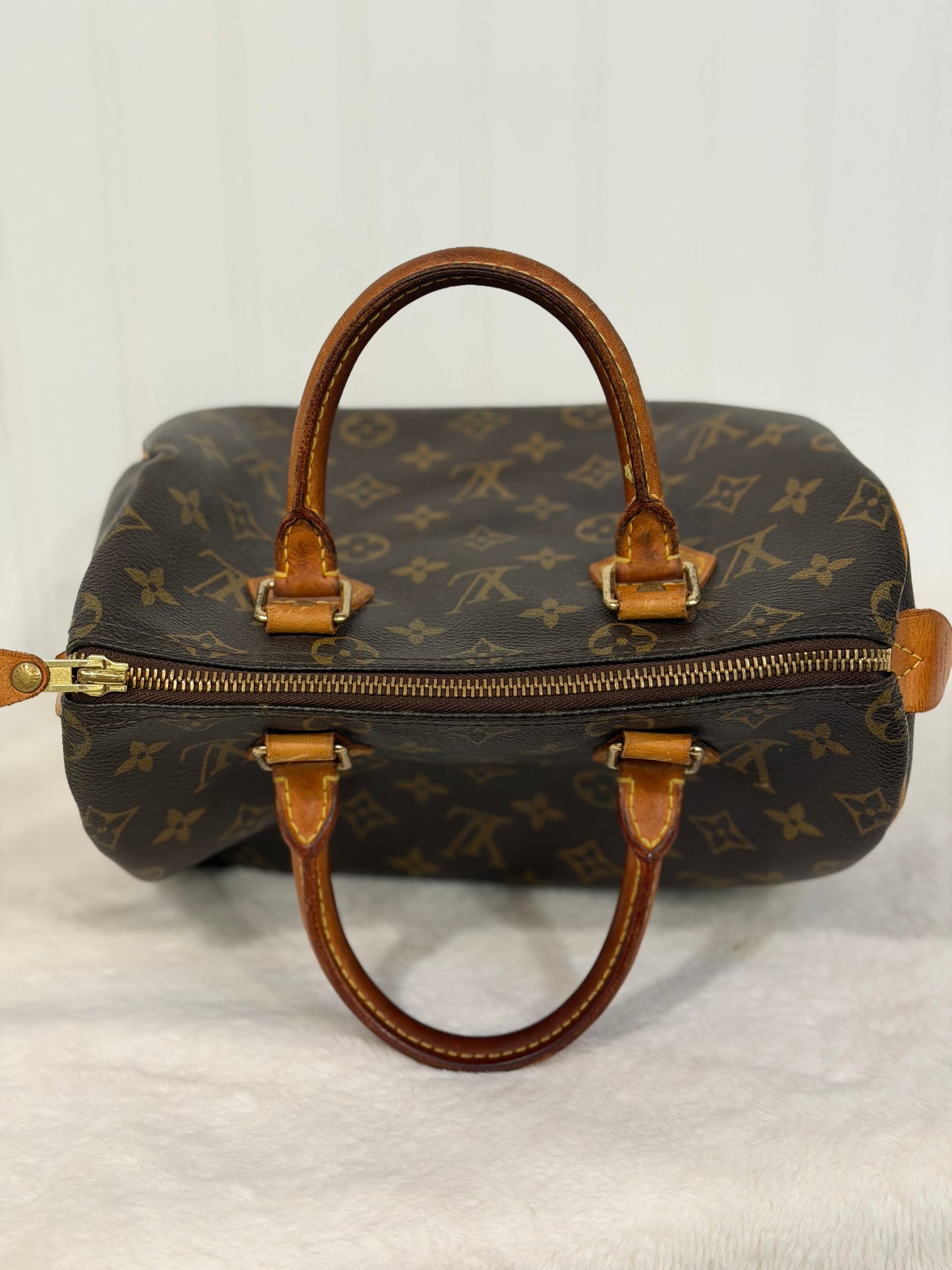 Louis Vuitton Speedy 25 Mono