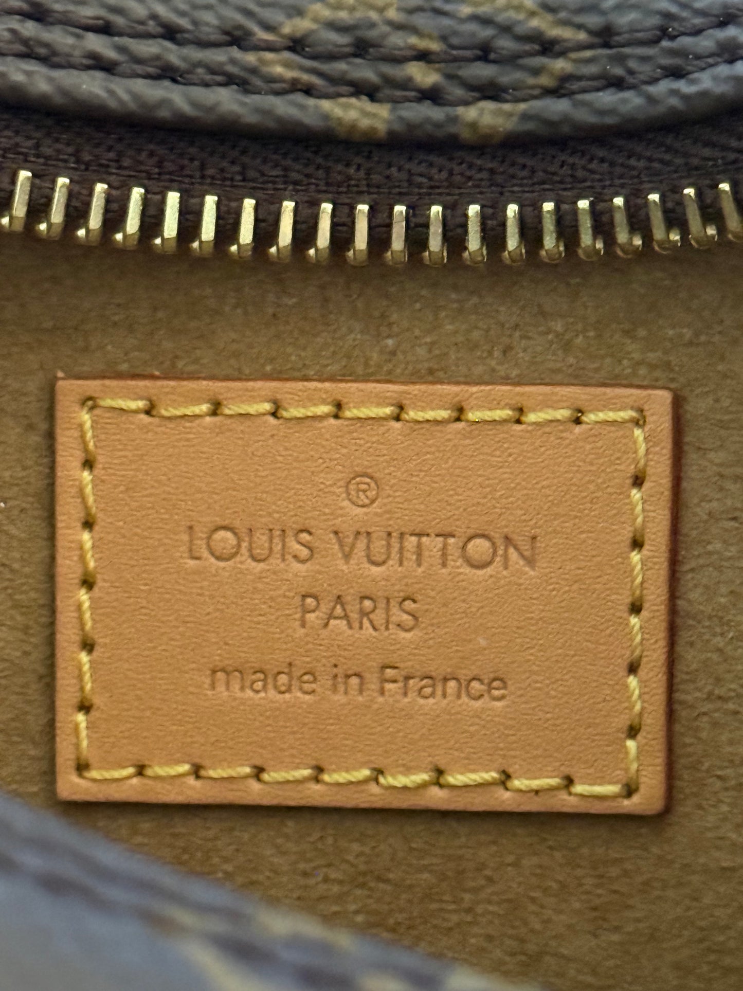 Louis Vuitton Loop PM Mono