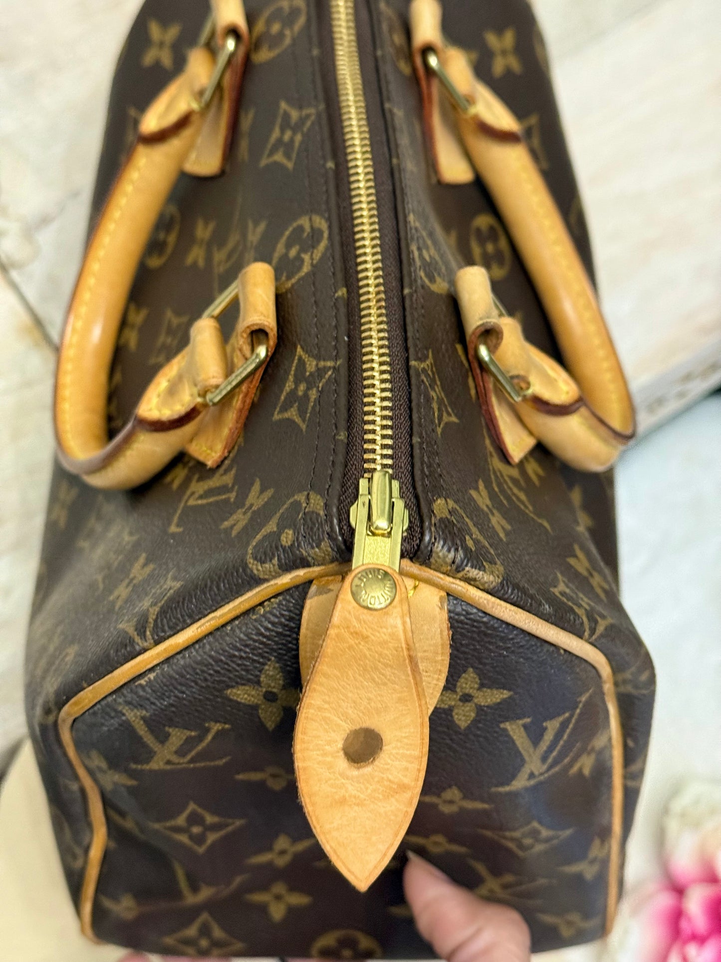 Louis Vuitton Speedy 25 Mono