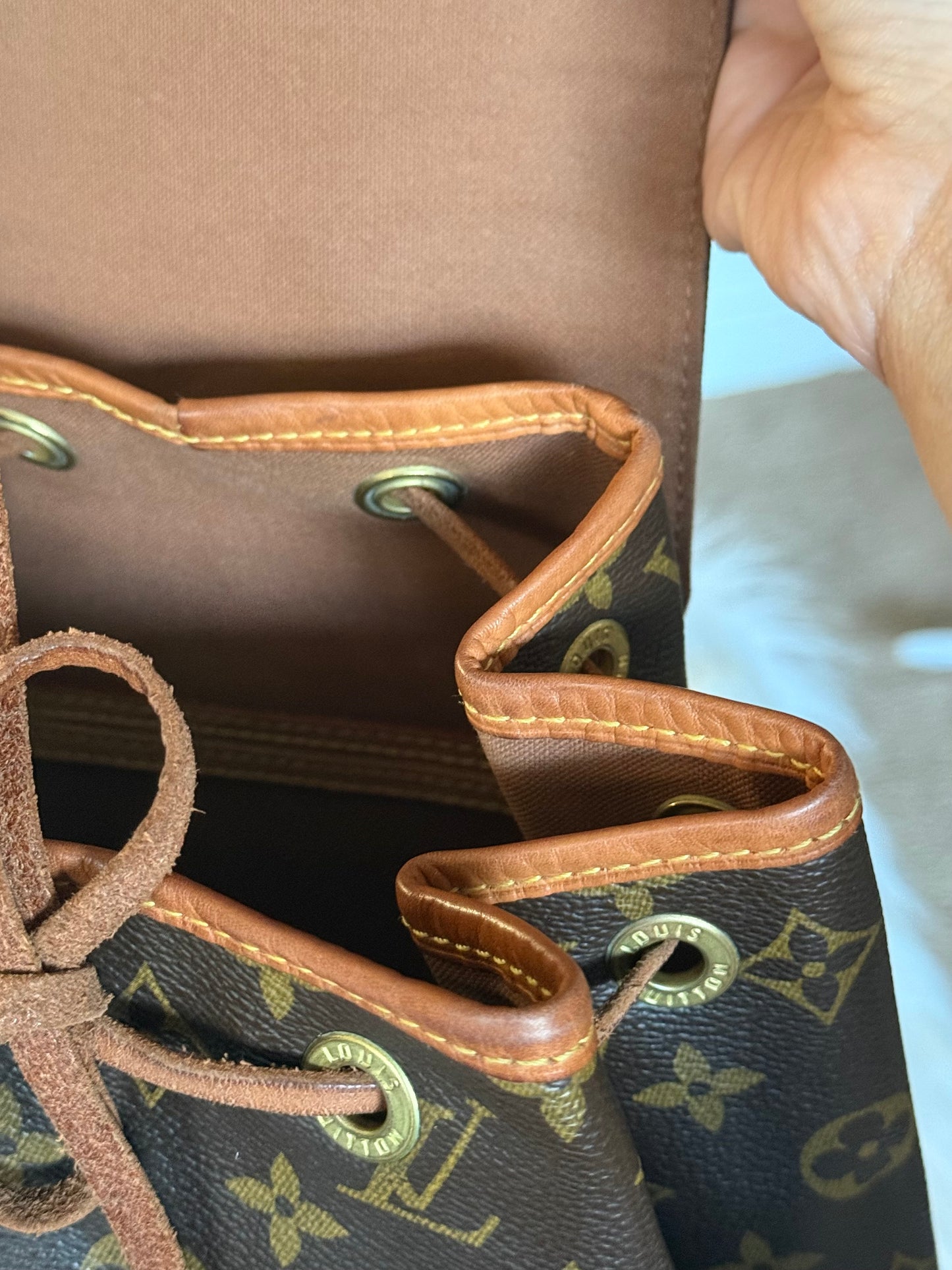 Louis Vuitton Montsouris PM Mono Old Model
