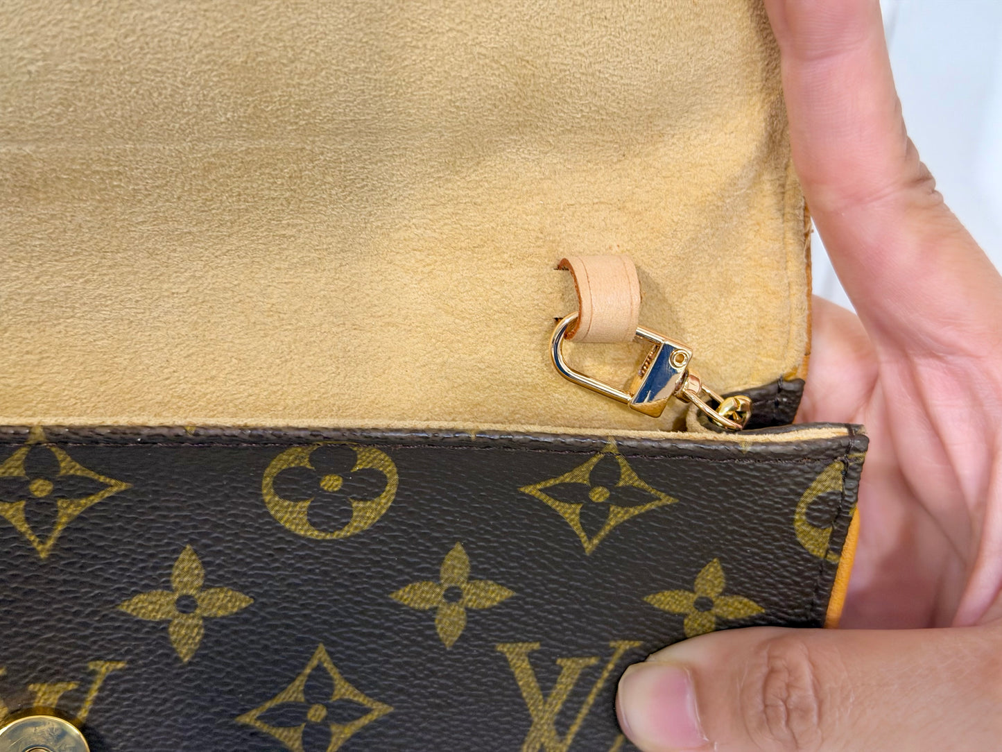 Louis Vuitton Twin Pochette GM Mono