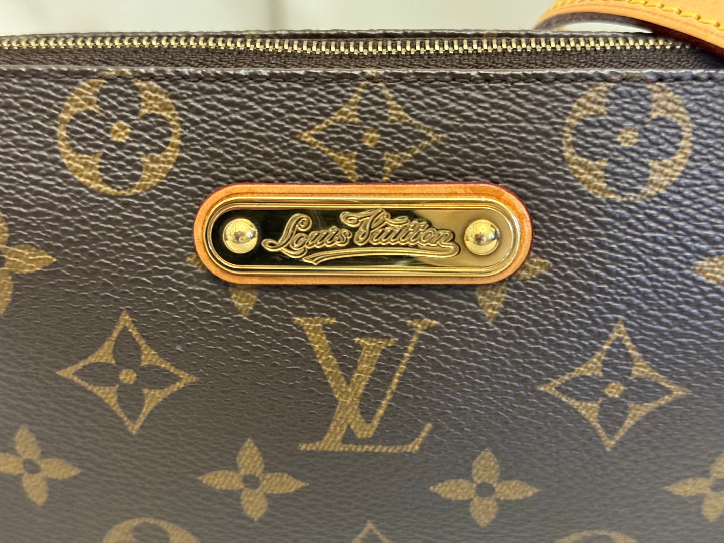Louis Vuitton Eva Pochette Mono