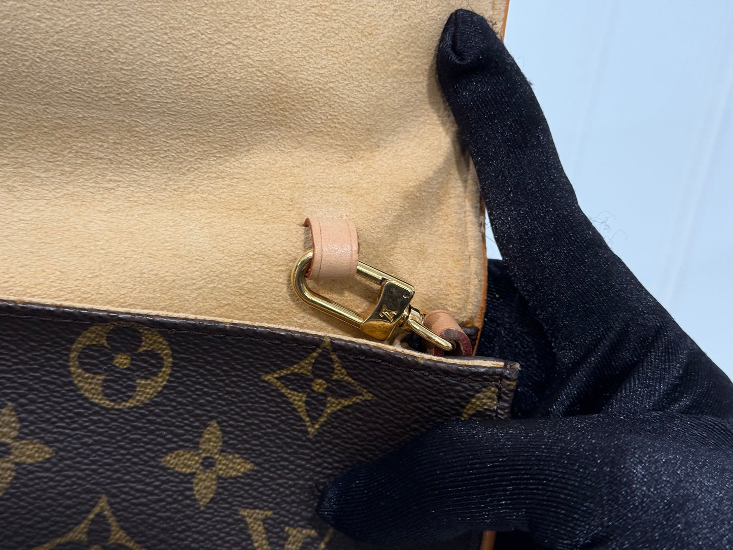 Louis Vuitton Twin Pochette GM Mono