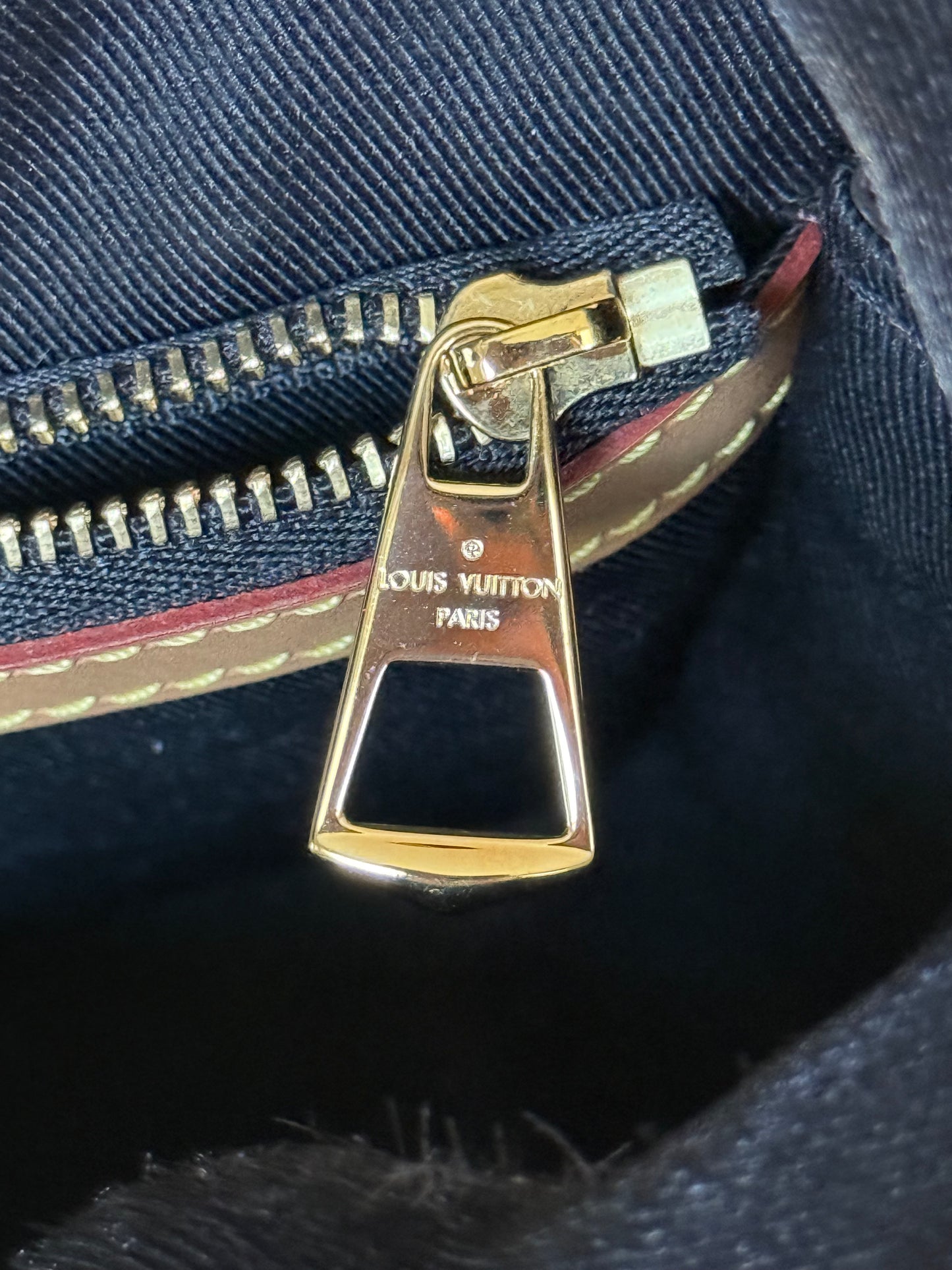 Louis Vuitton Diane Mono with Shoulder Strap