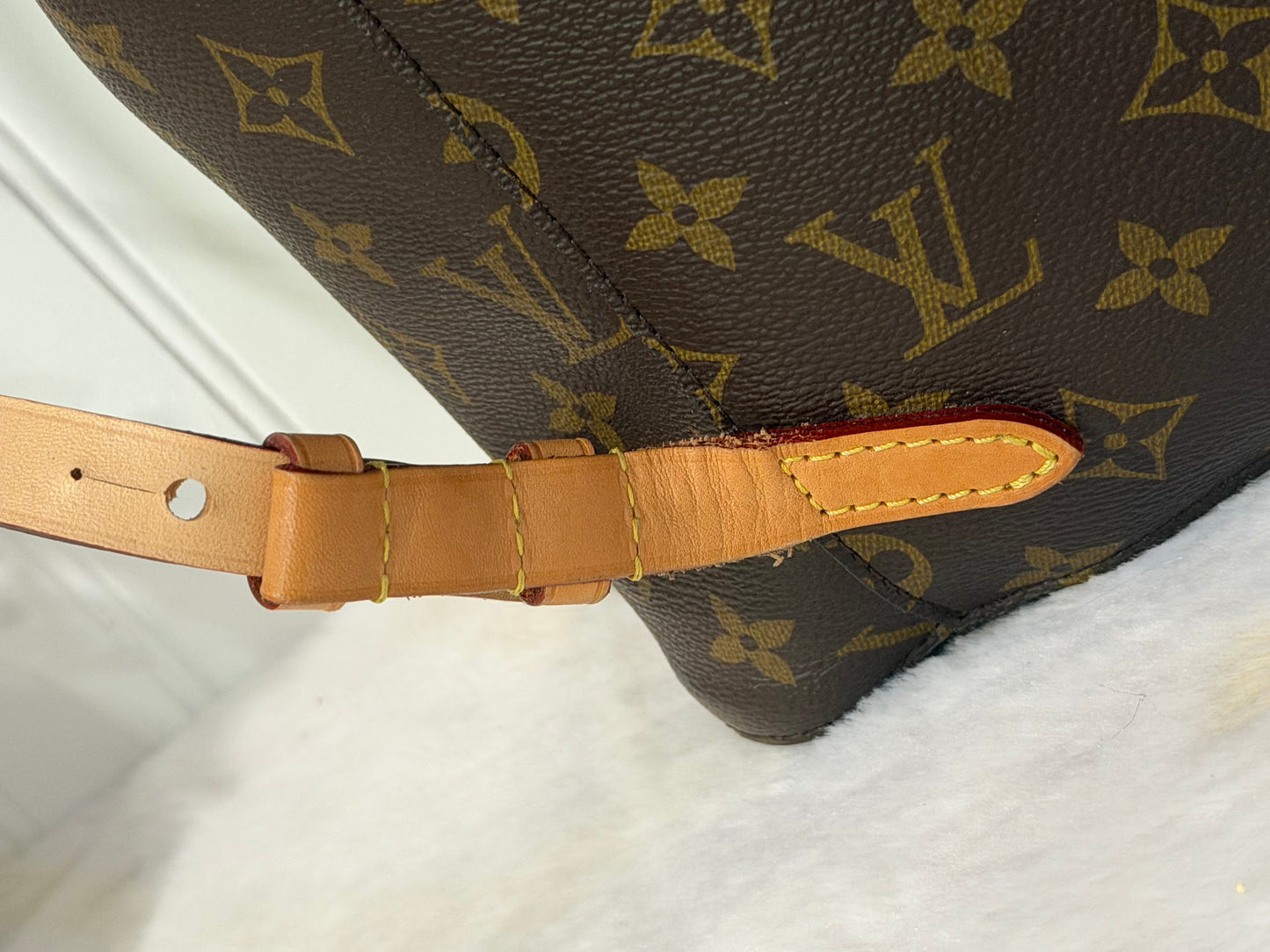Louis Vuitton Montsouris NM Mono Backpack