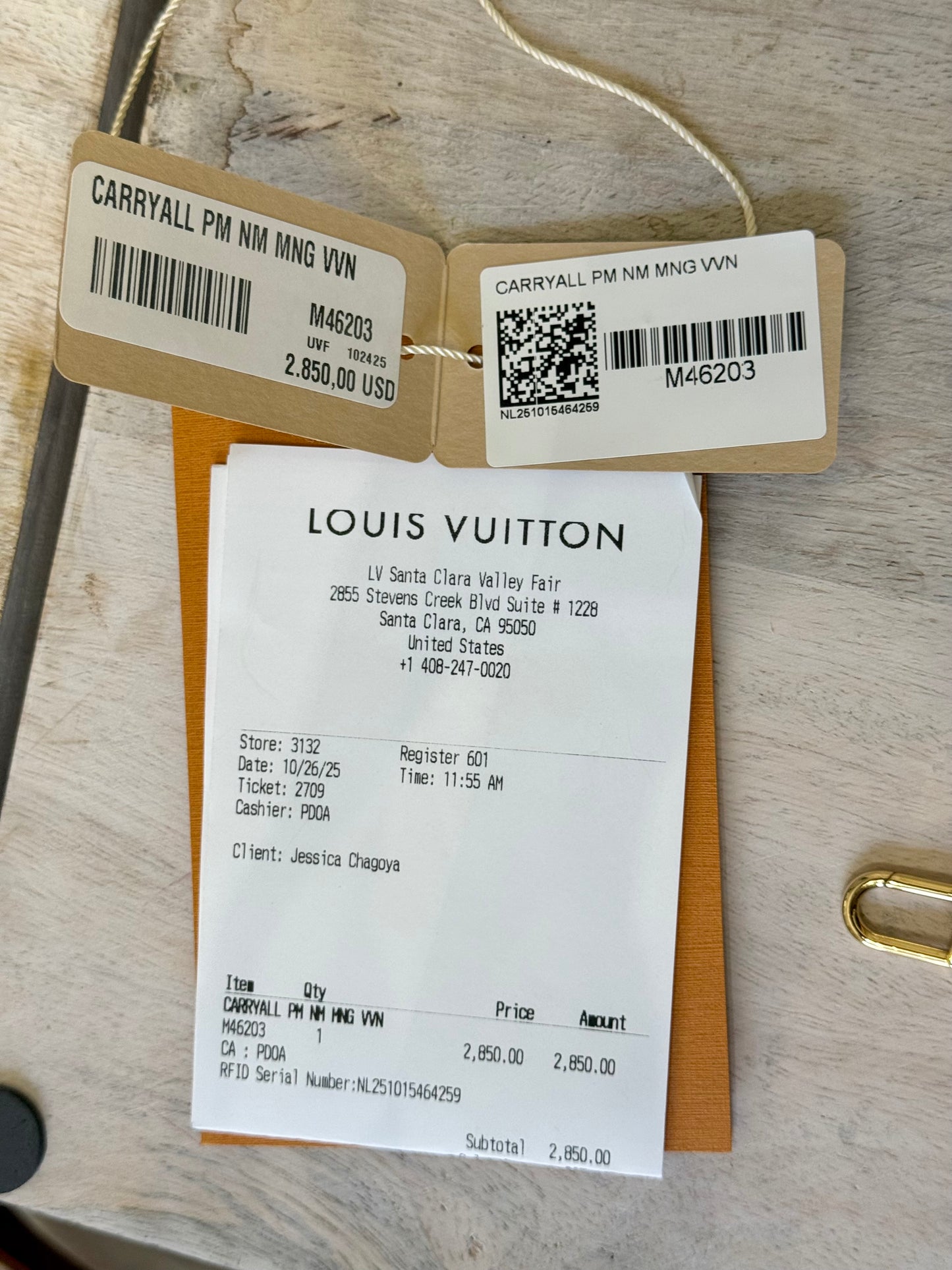 Louis Vuitton Carryall PM Mono (Bag Only)