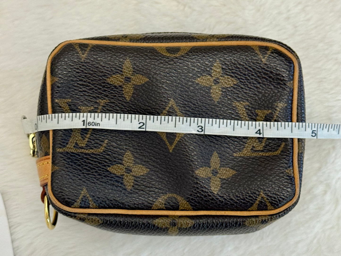 Louis Vuitton Wapity Mono Pouch