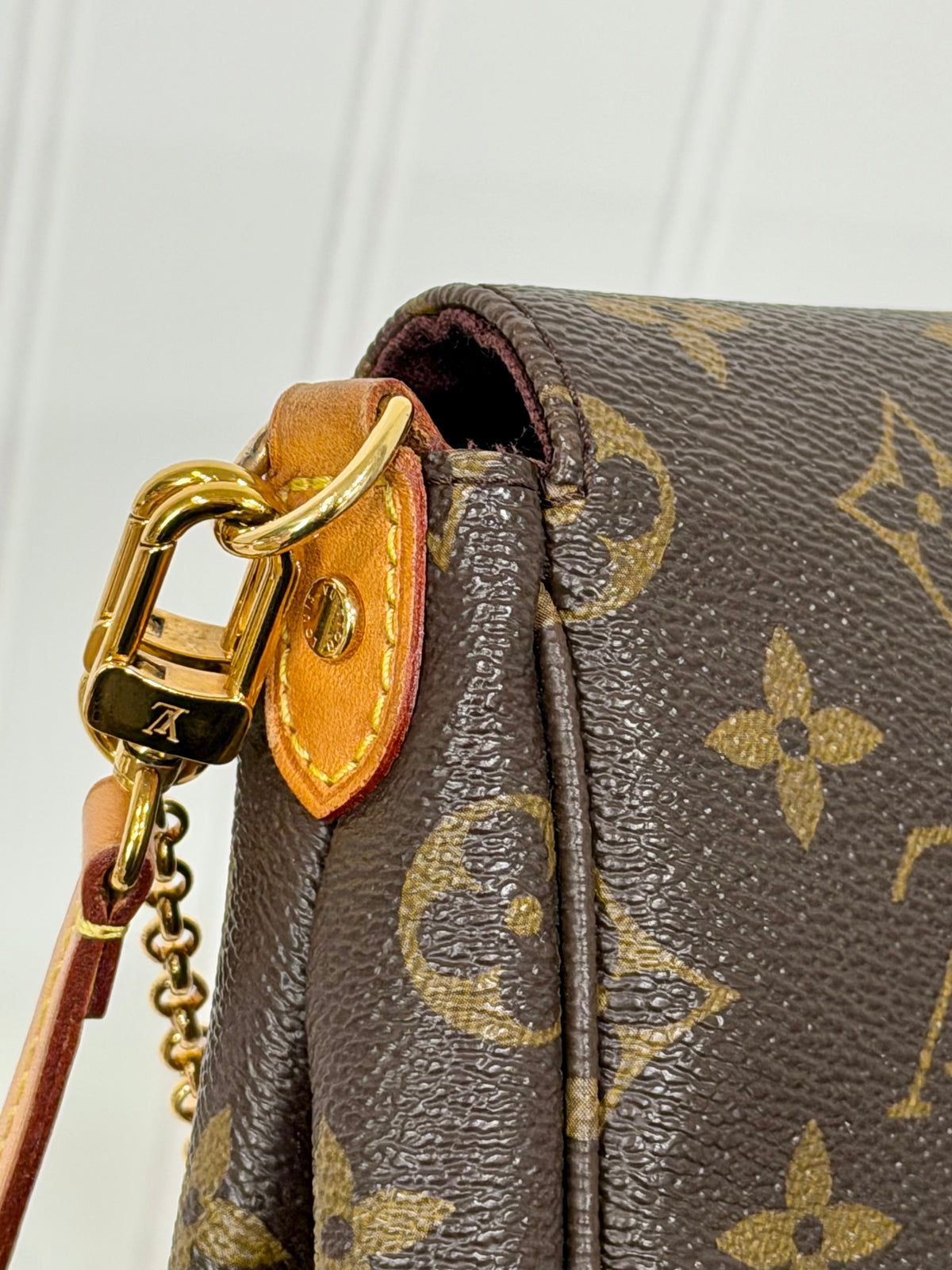 Louis Vuitton Favorite MM Mono SA1107