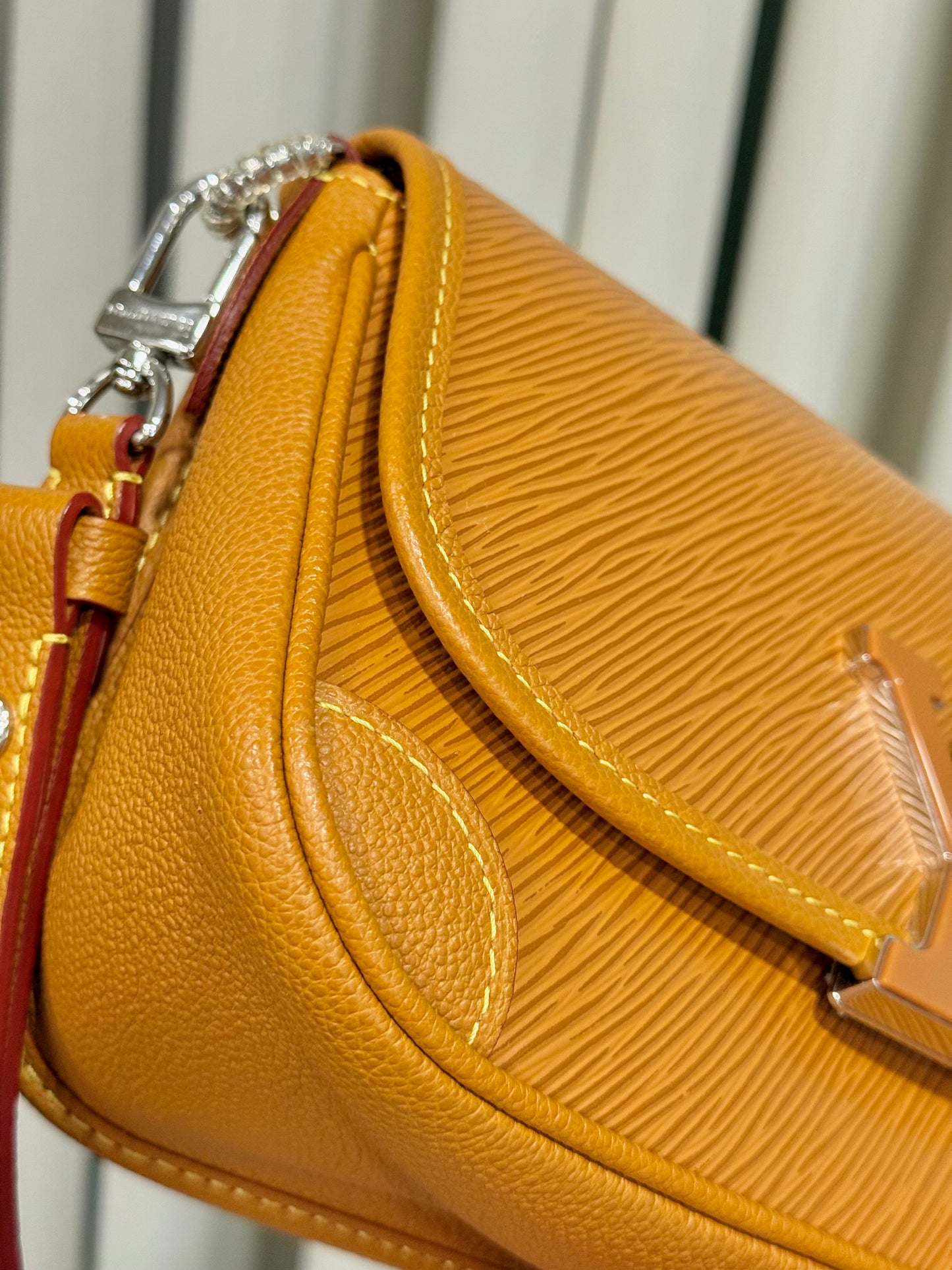 Louis Vuitton Buci in Epi Gold Honey