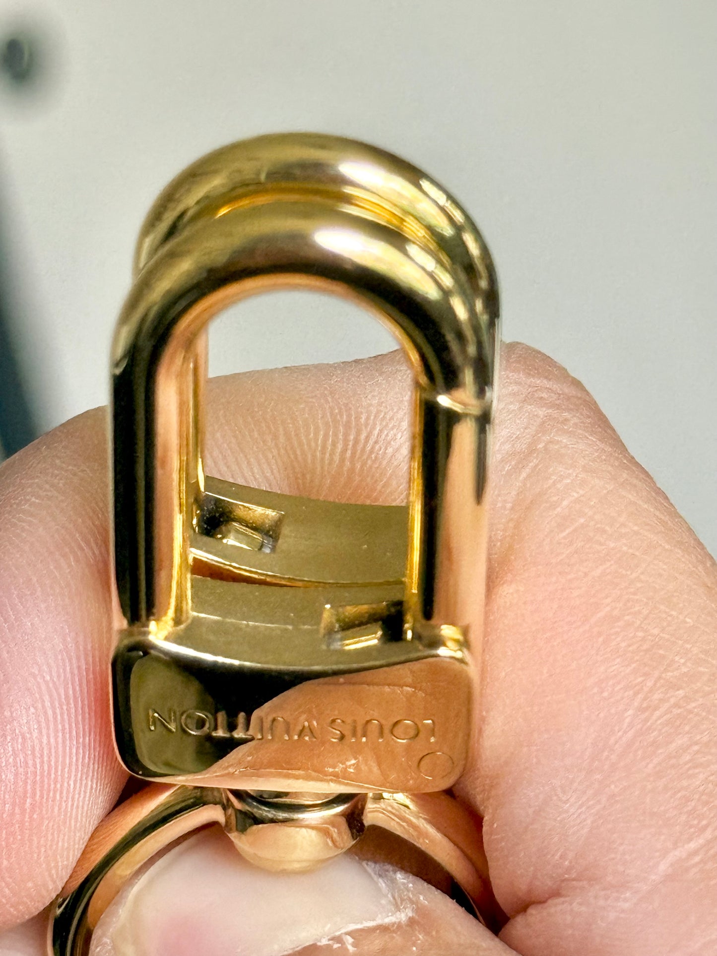 Louis Vuitton Loop PM Mono