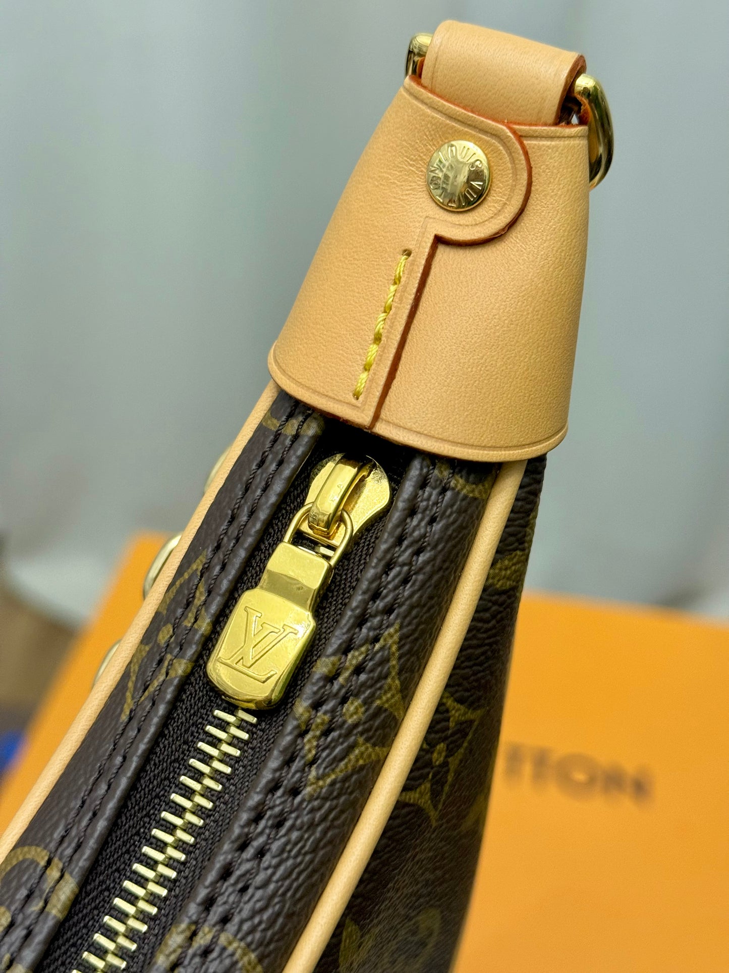 Louis Vuitton Loop PM Mono