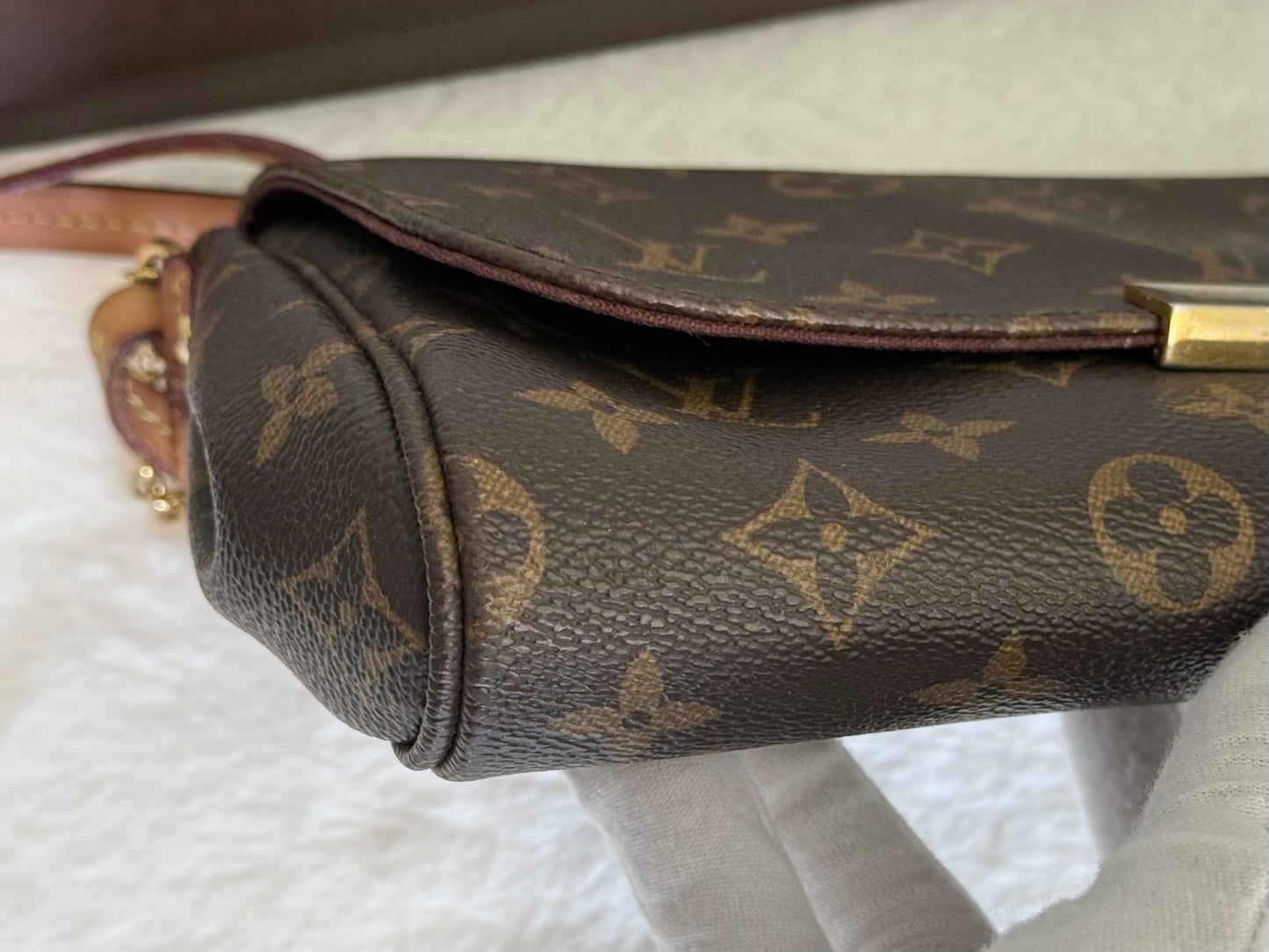 Louis Vuitton Favorite MM Mono
