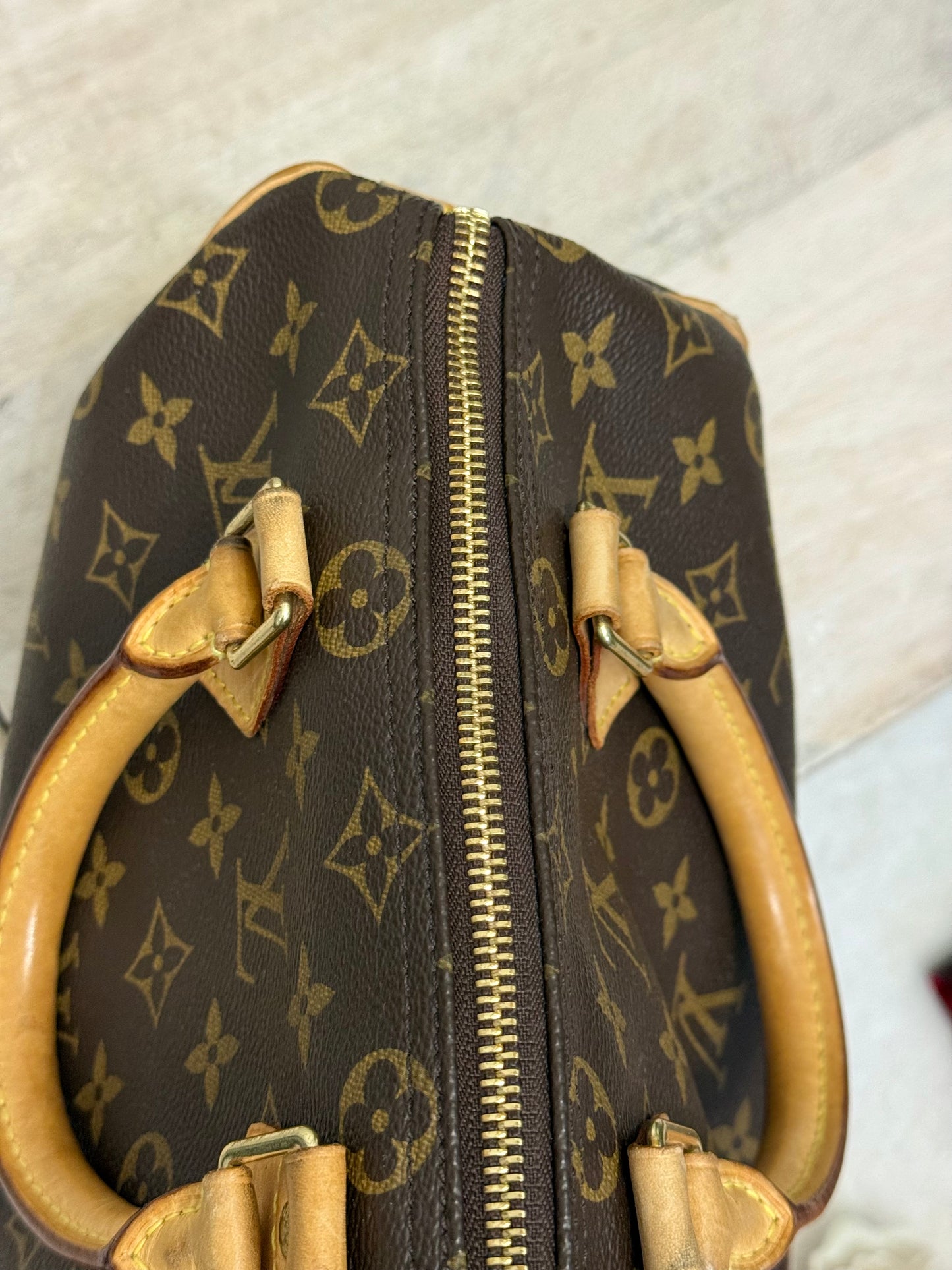 Louis Vuitton Speedy 25 Mono