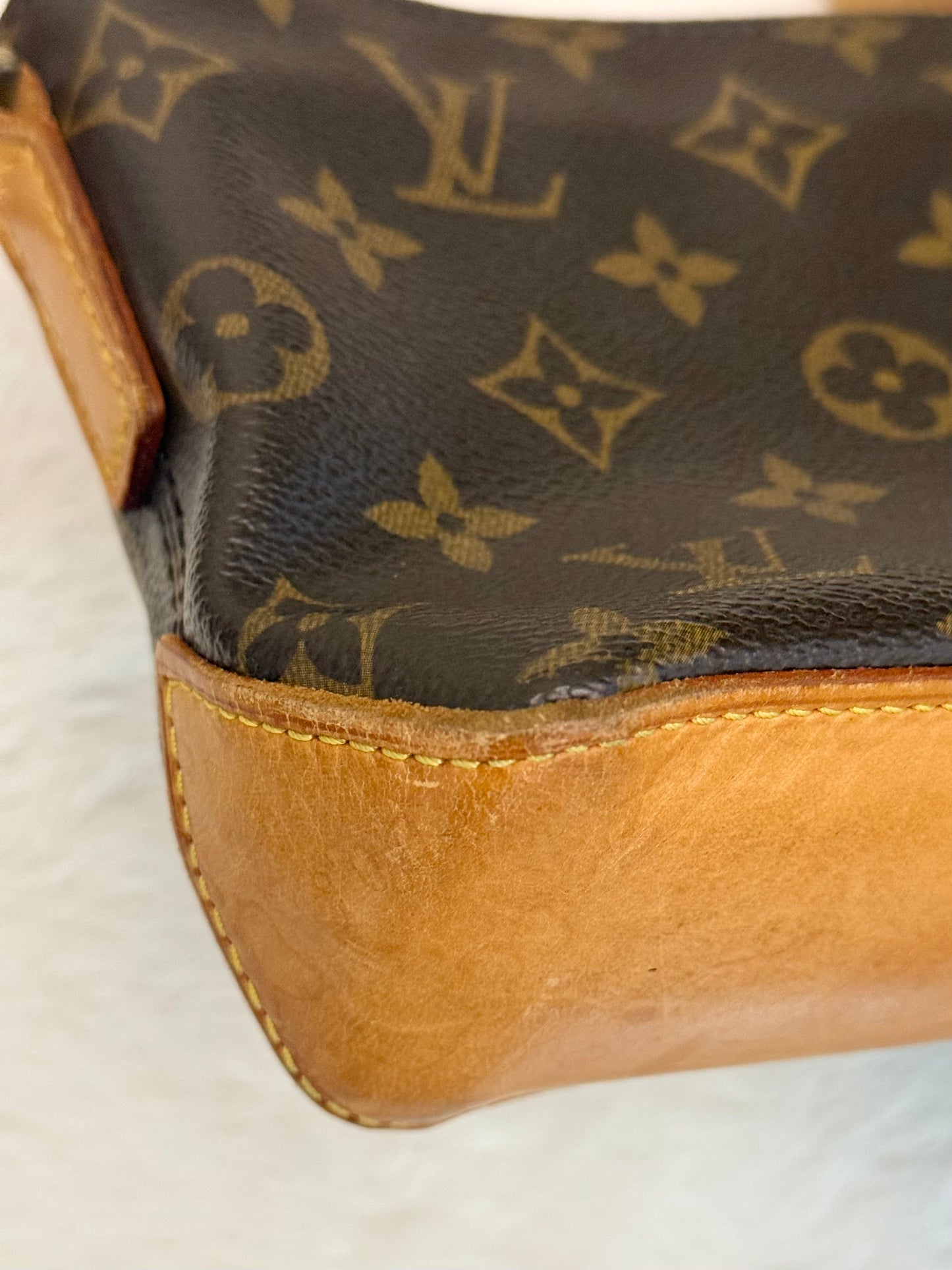 Louis Vuitton Trotteur Mono