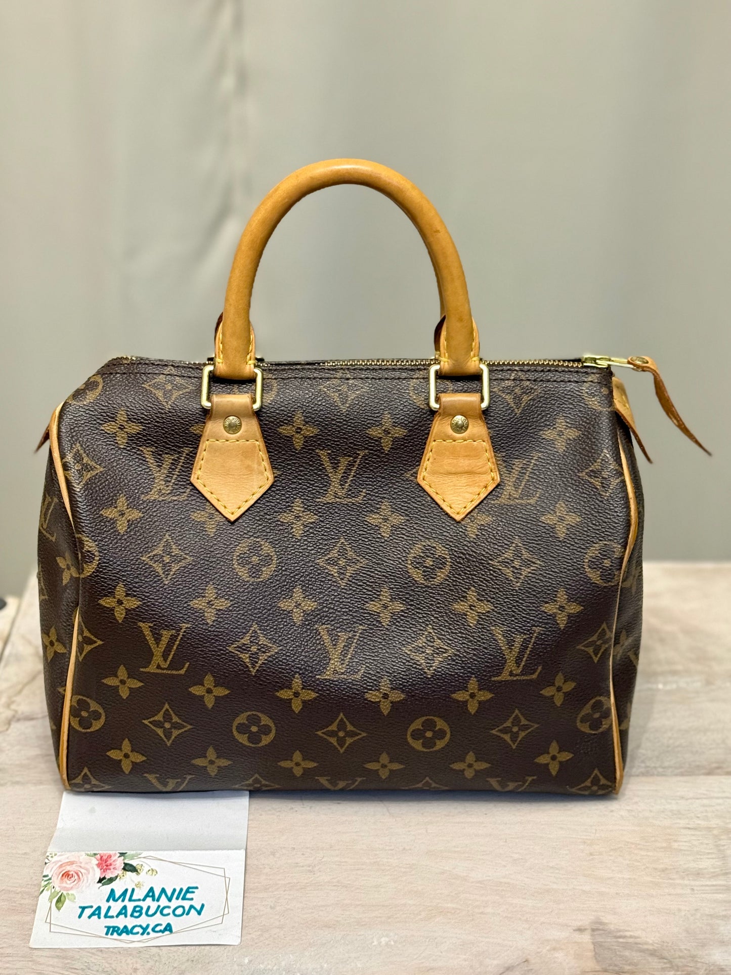 Louis Vuitton Speedy 25 Mono