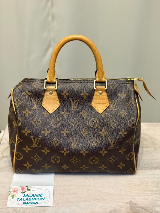 Louis Vuitton Speedy 25 Mono