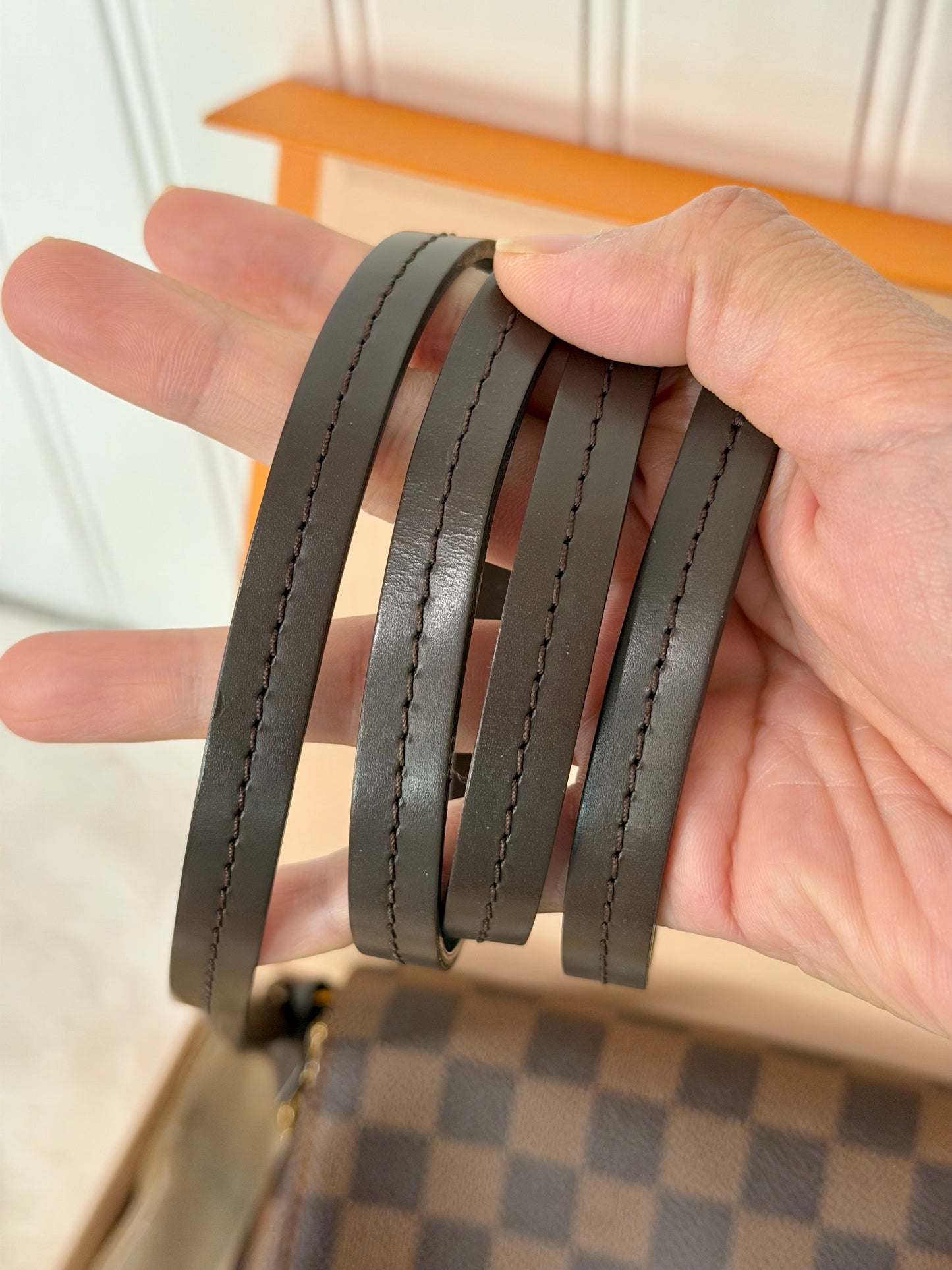 Louis Vuitton Favorite PM Damier Ebene