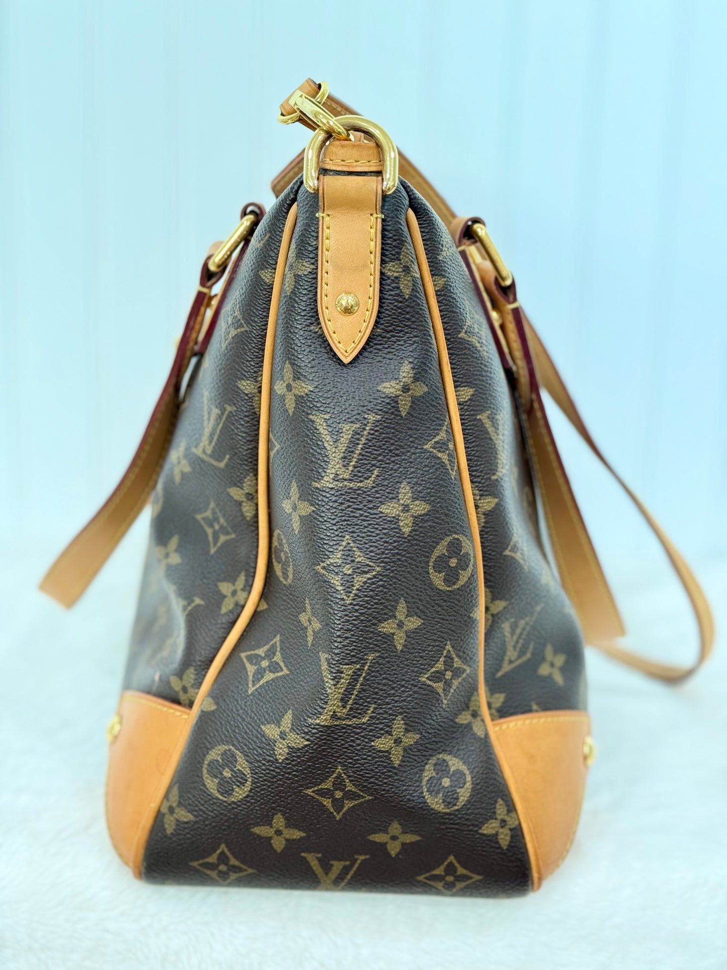 Louis Vuitton Estrela MM Mono