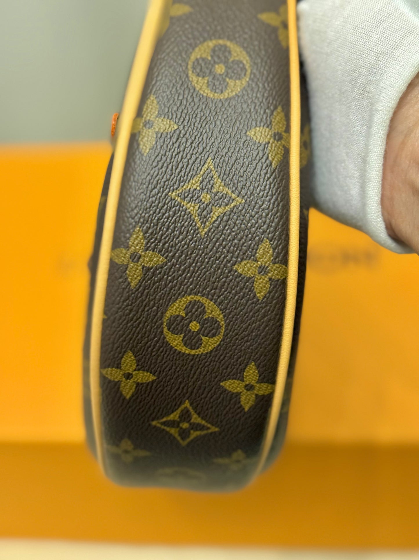 Louis Vuitton Loop PM Mono