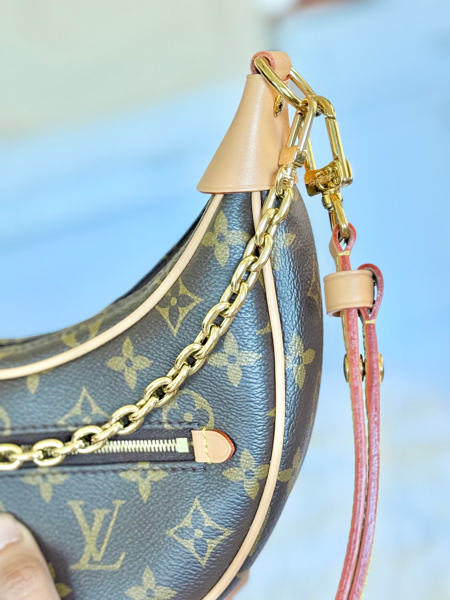 Louis Vuitton Loop PM Mono