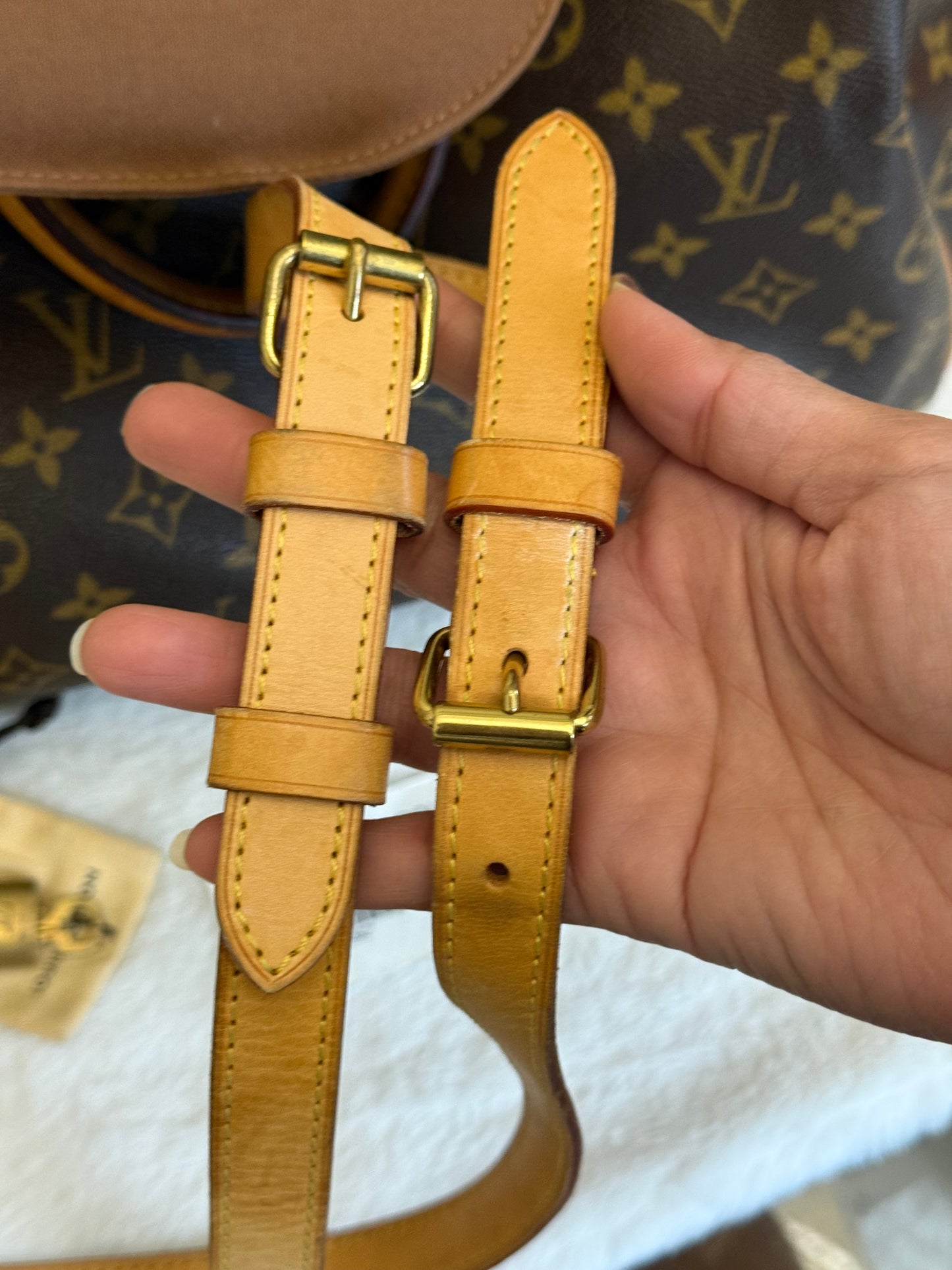 Louis Vuitton Speedy Bandouliere 35 Mono