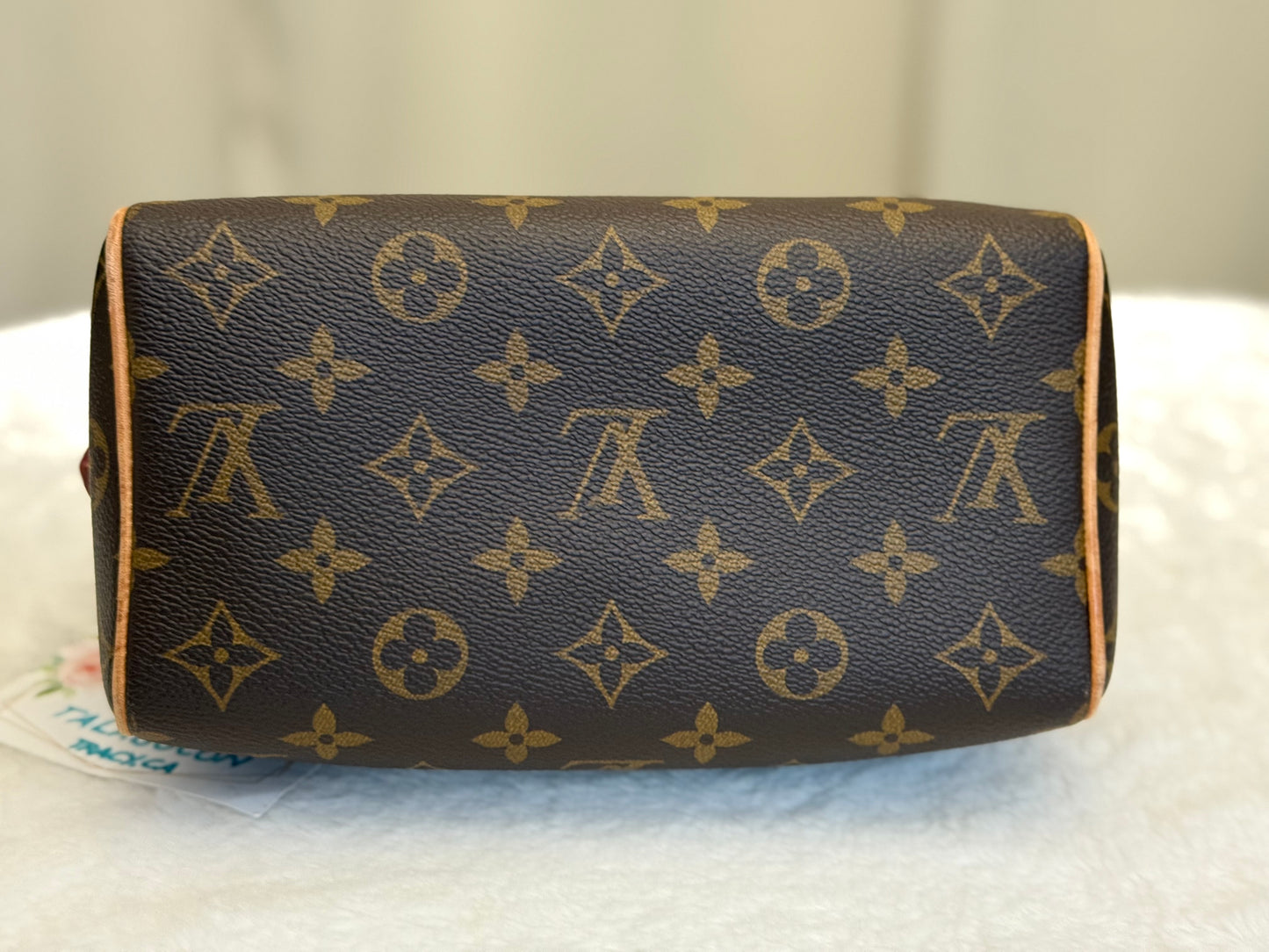 Louis Vuitton Speedy 20 Mono Bag Only