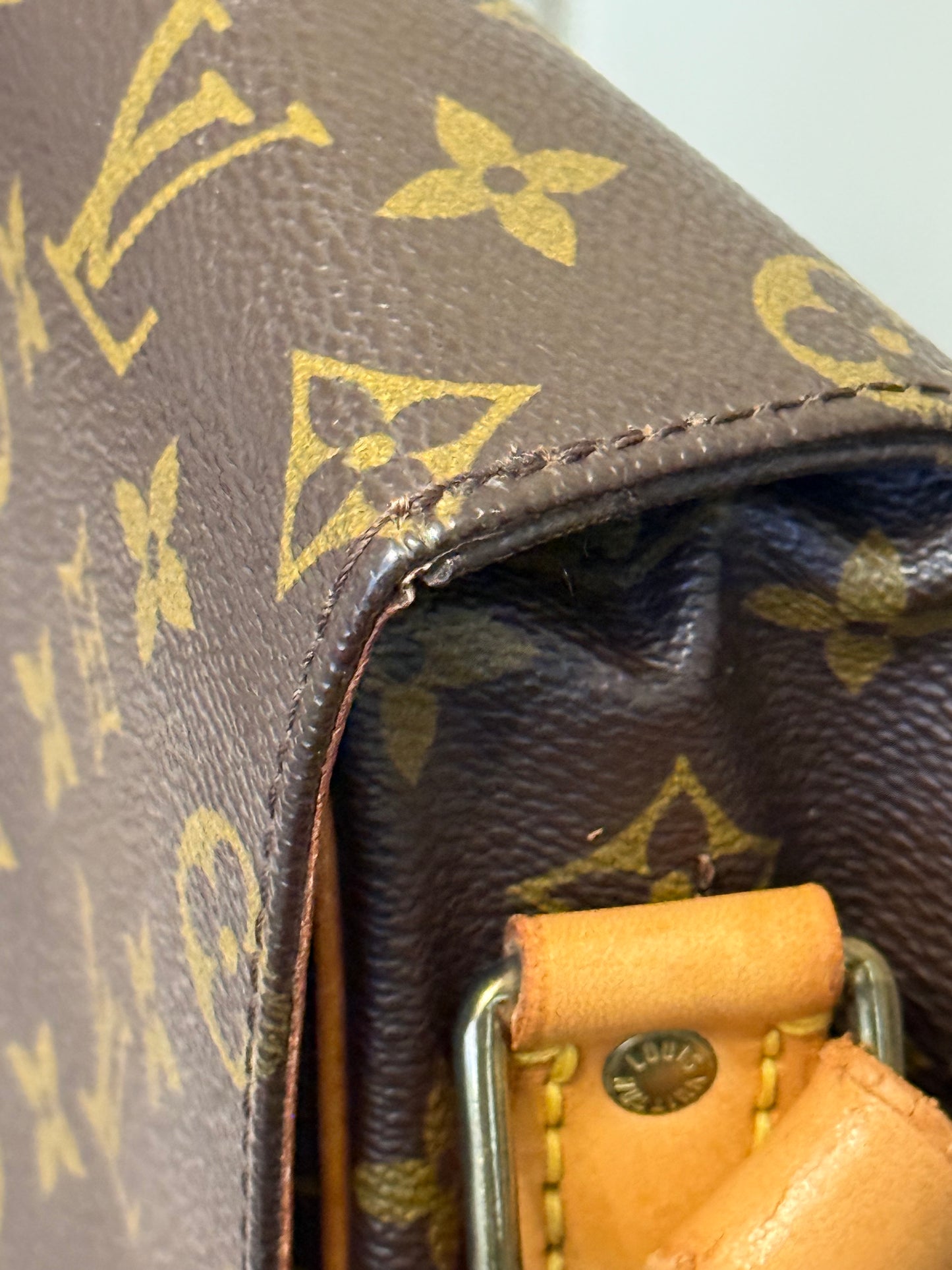 Louis Vuitton Cartouchiere GM Mono