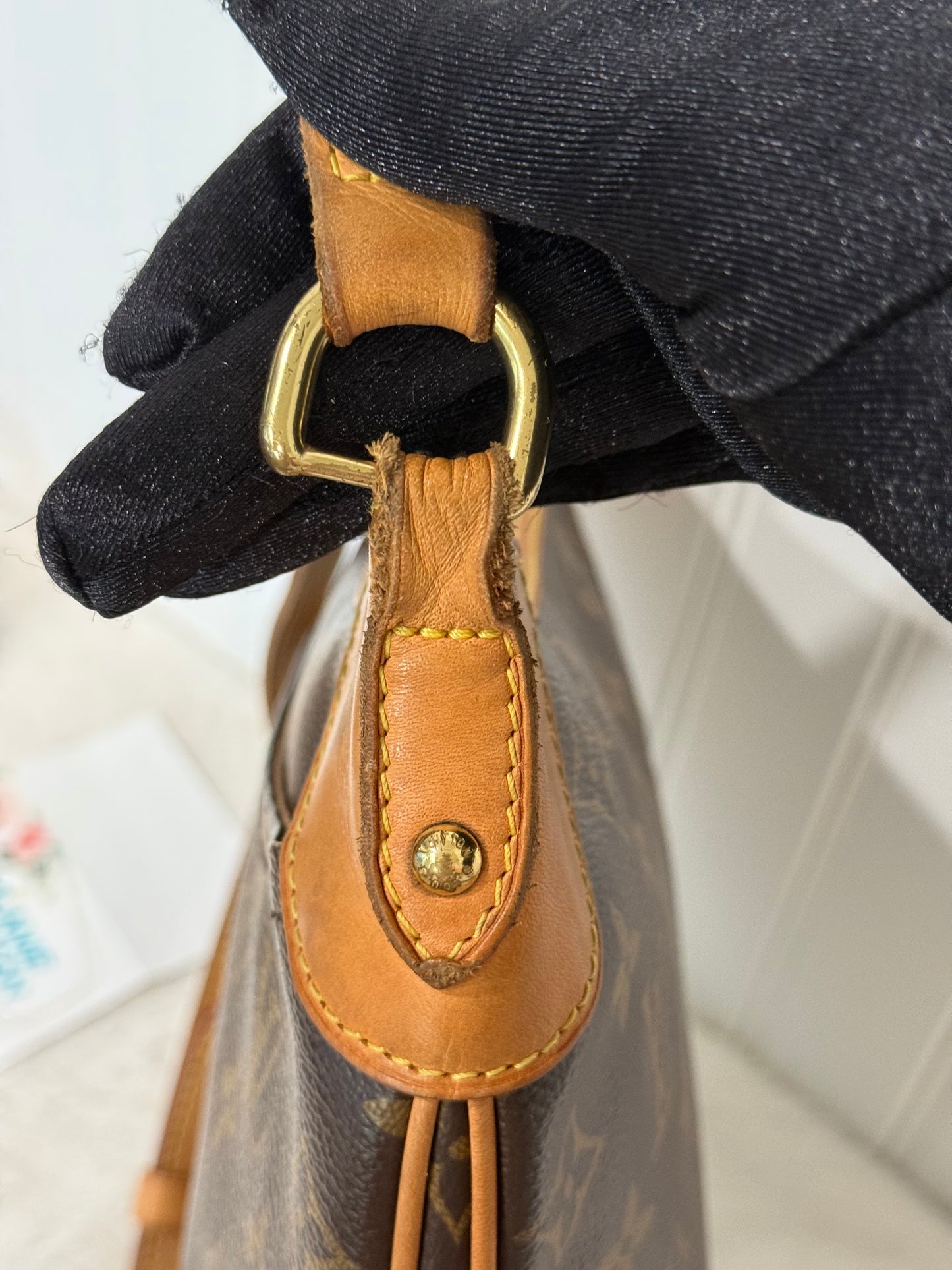 Louis Vuitton Odeon PM Mono