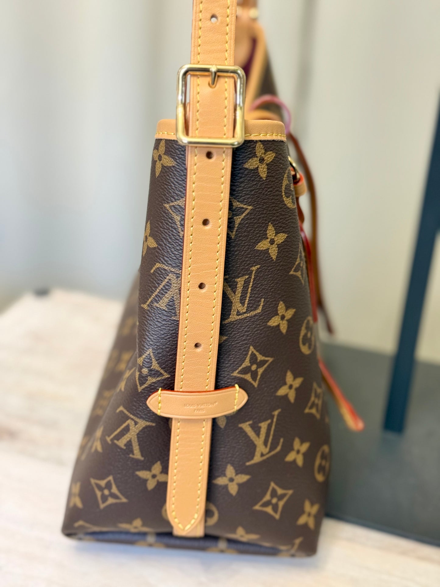 Louis Vuitton Carryall PM Mono (Bag Only)