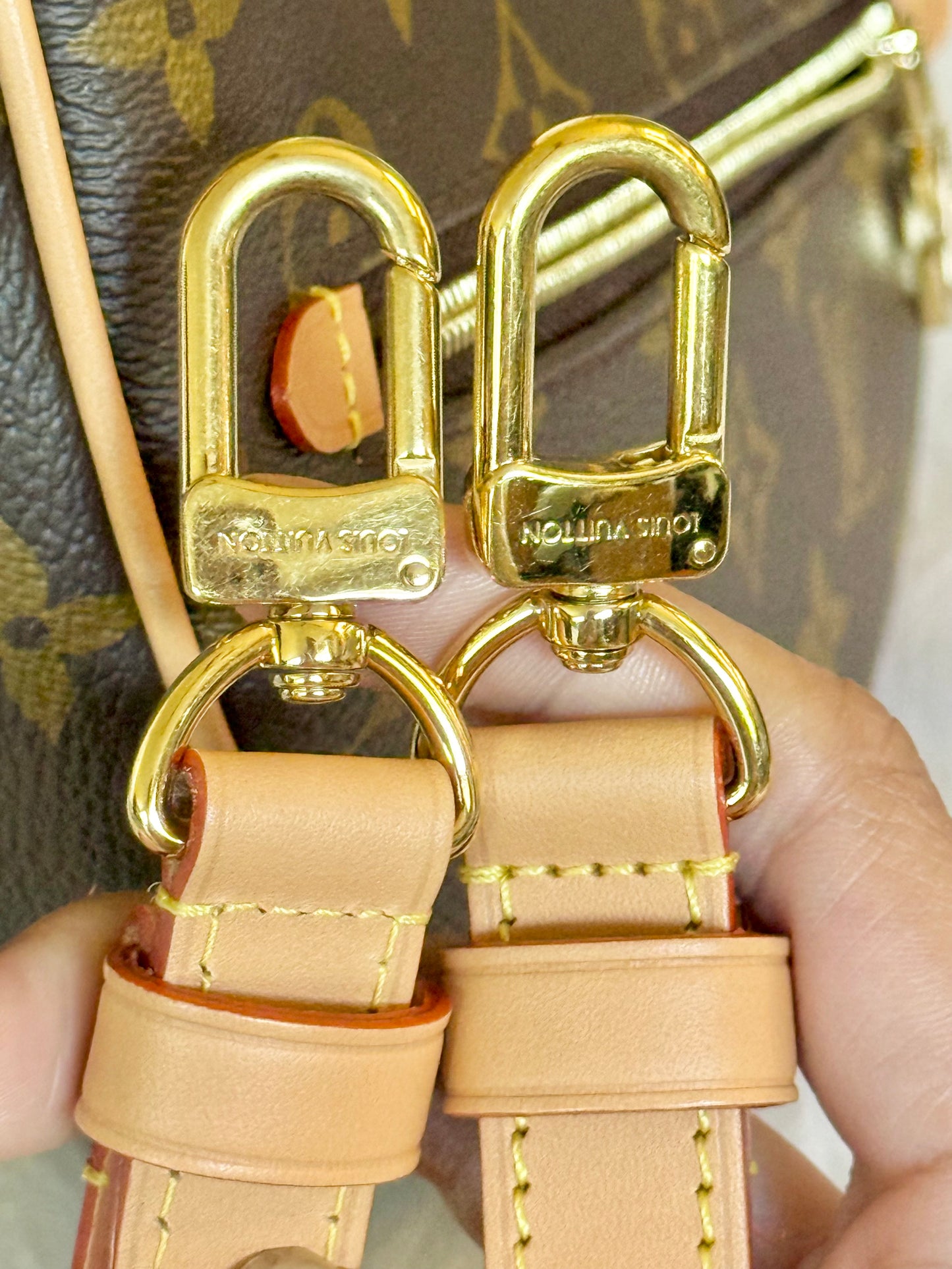 Louis Vuitton Loop PM Mono