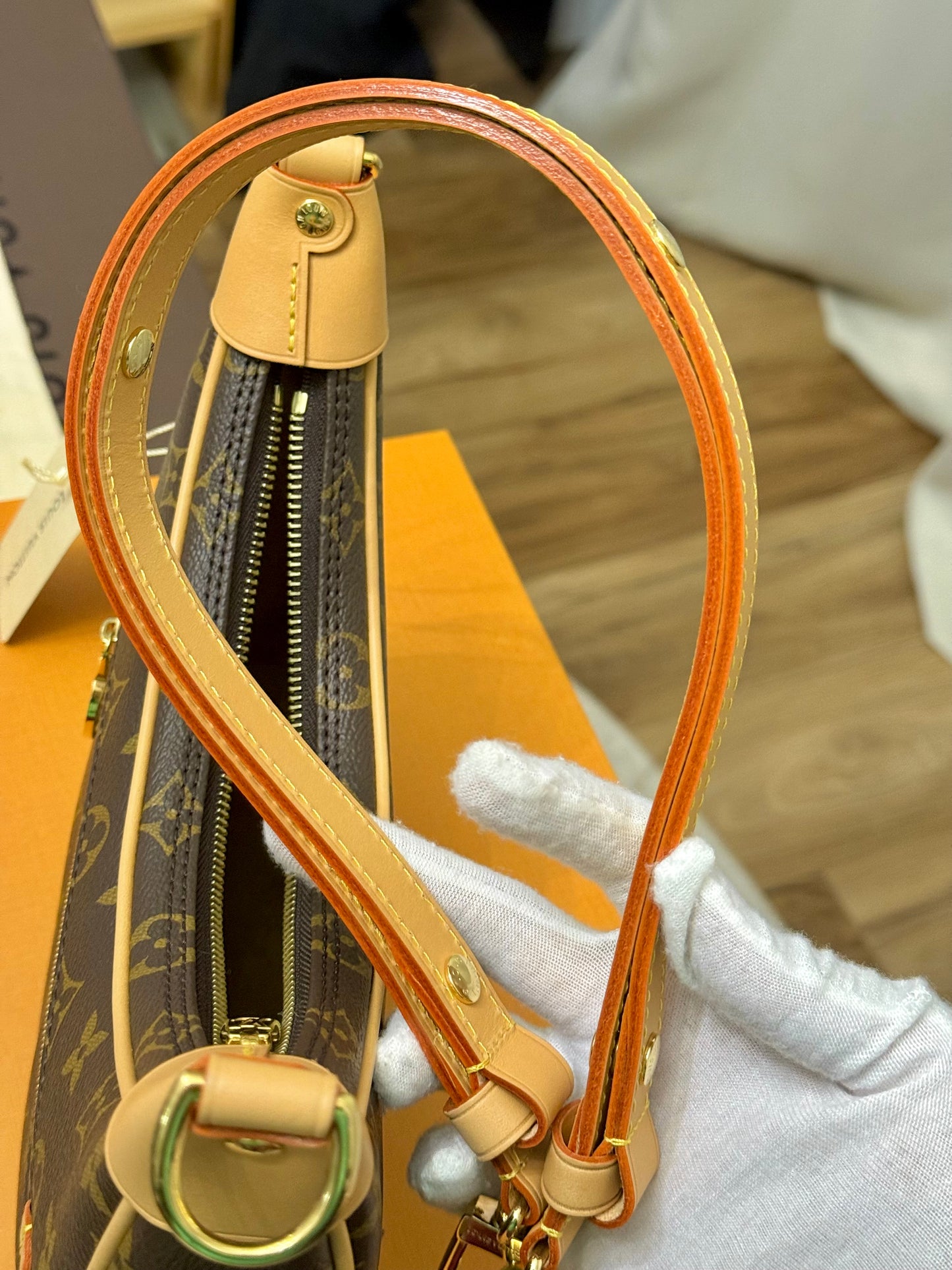 Louis Vuitton Loop PM Mono