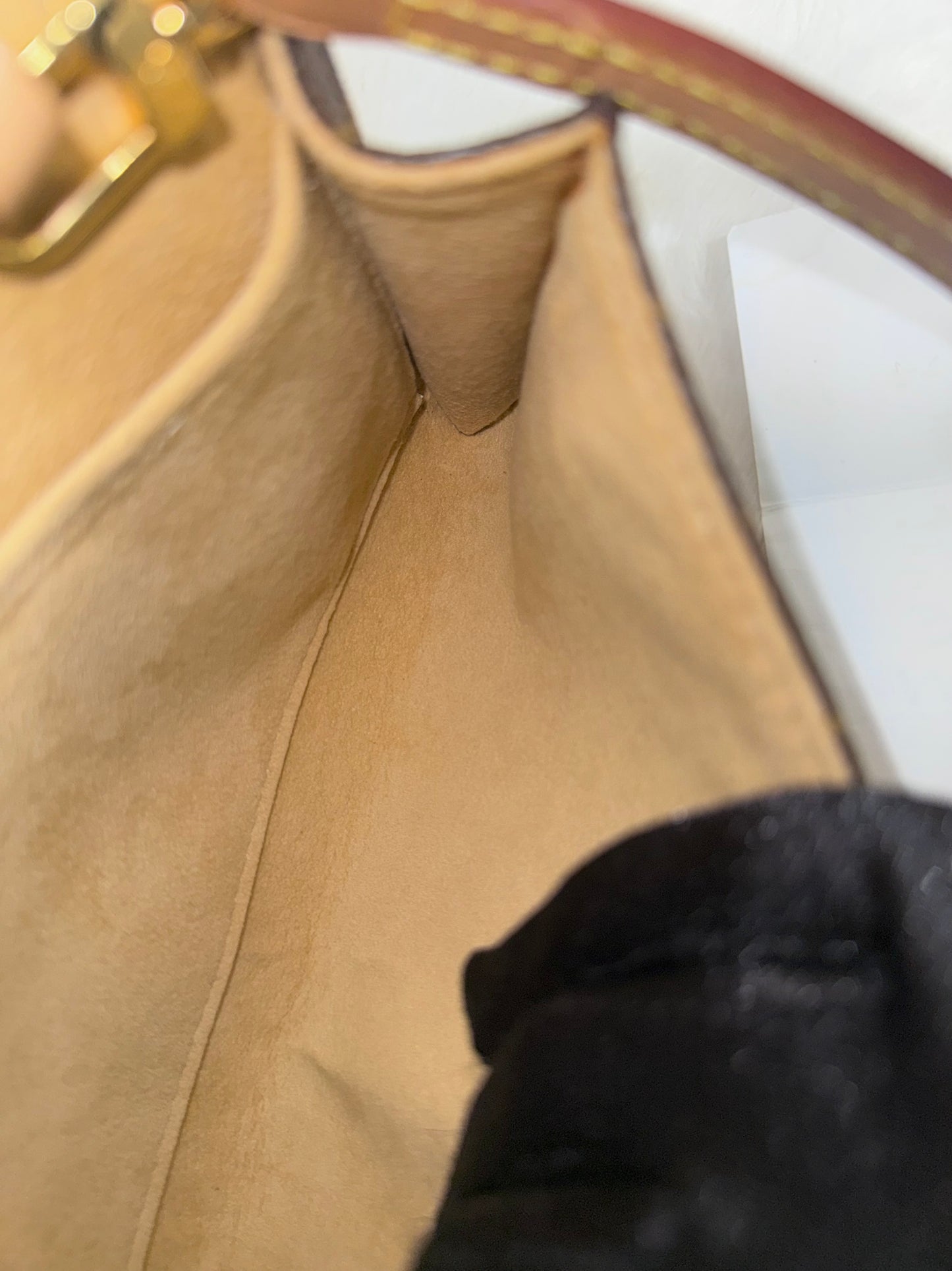 Louis Vuitton Twin Pochette GM Mono